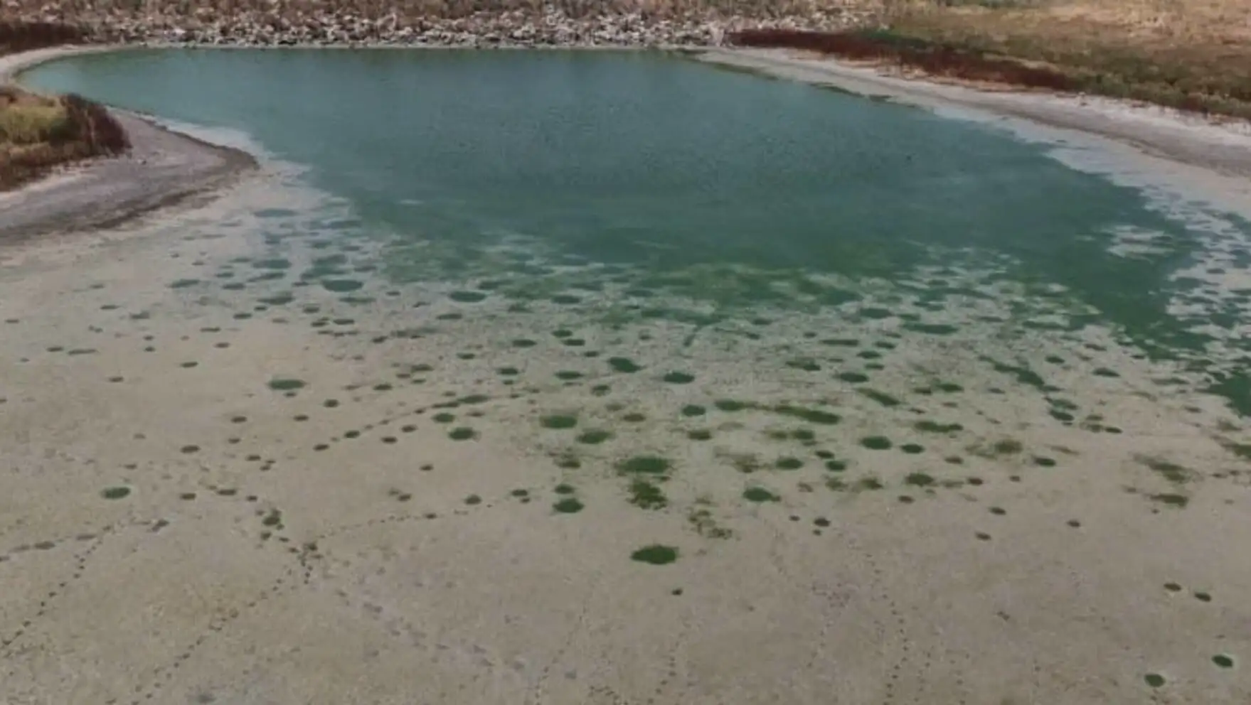 A body of water with green algae