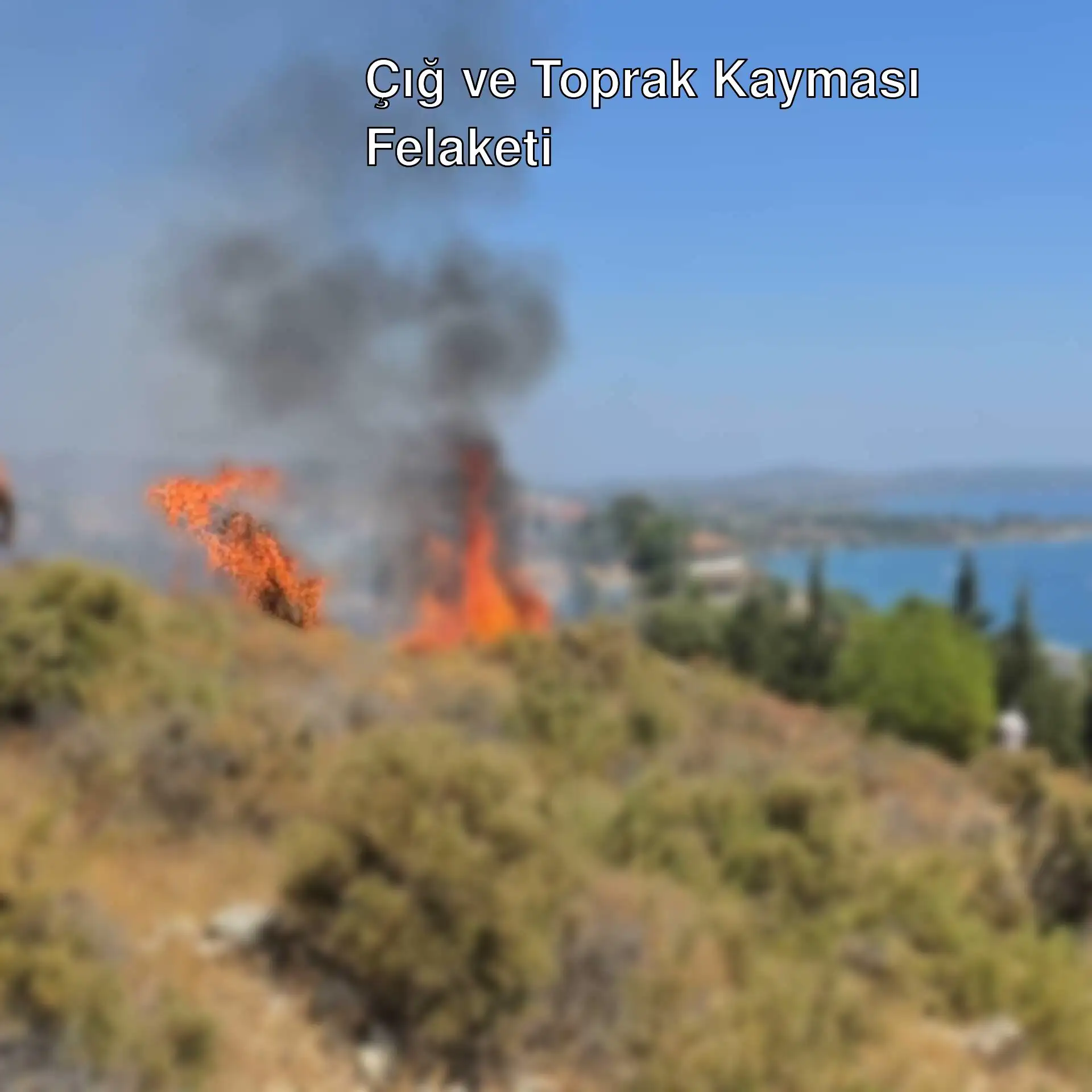 Datça'da makilik yangını