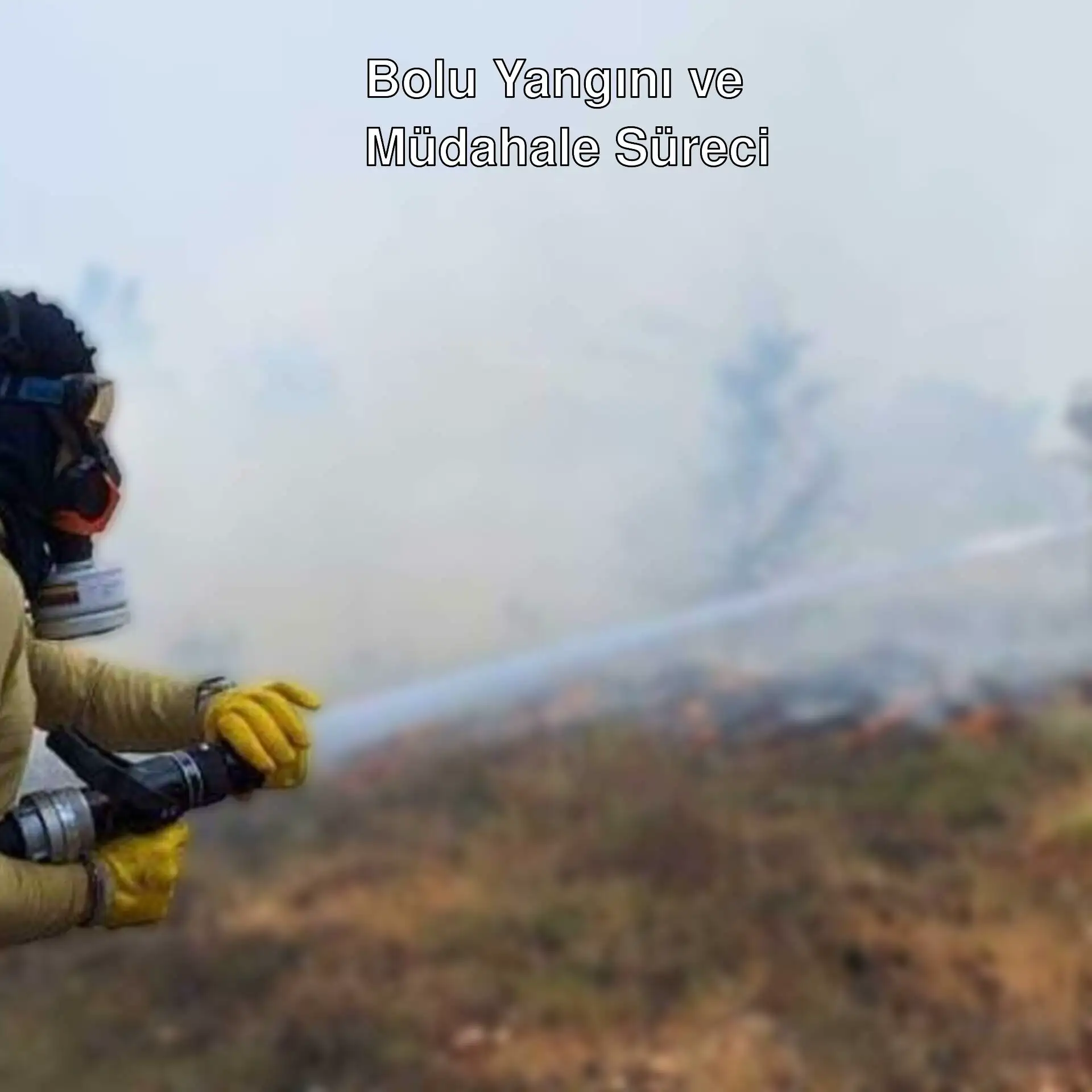Bolu'daki yangın söndürme çalışmaları.