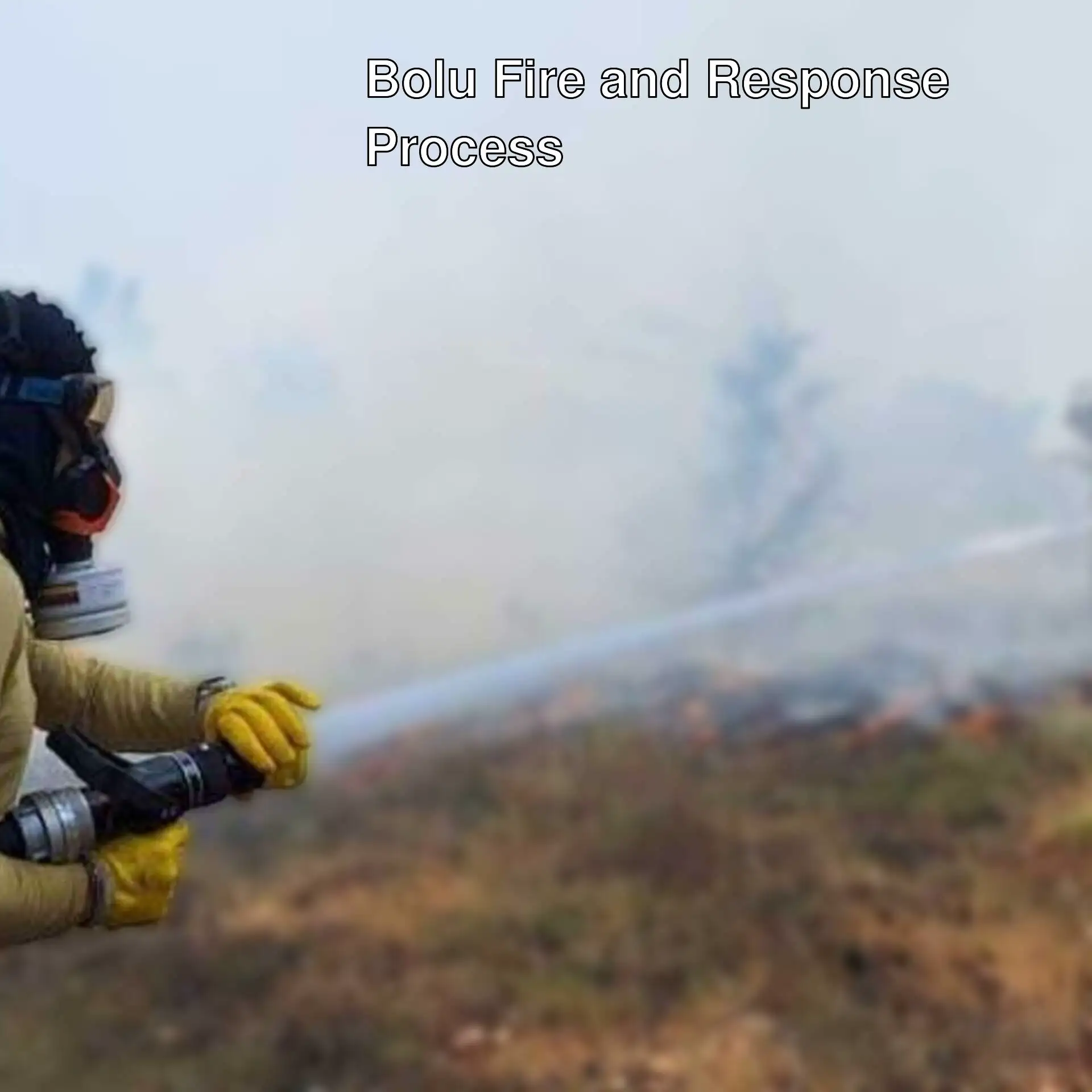 Firefighting efforts in Bolu. Firefighting efforts in Bolu.