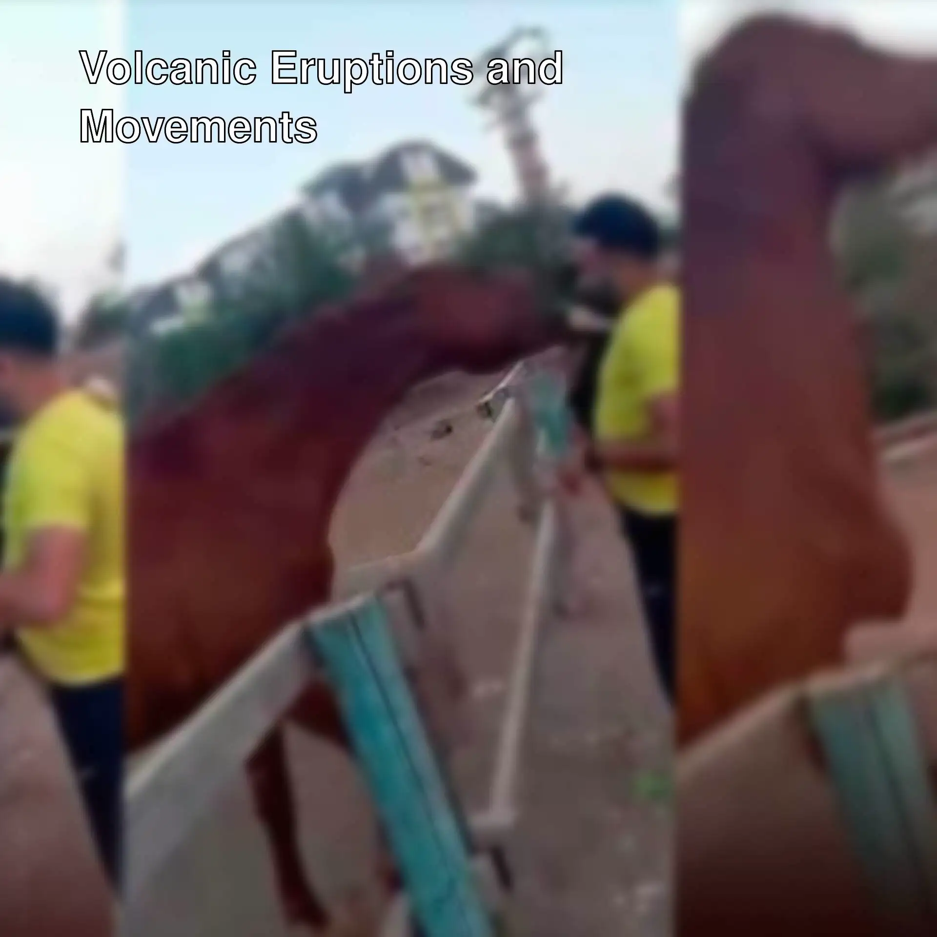 A man feeding a horse. A man feeding a horse.
