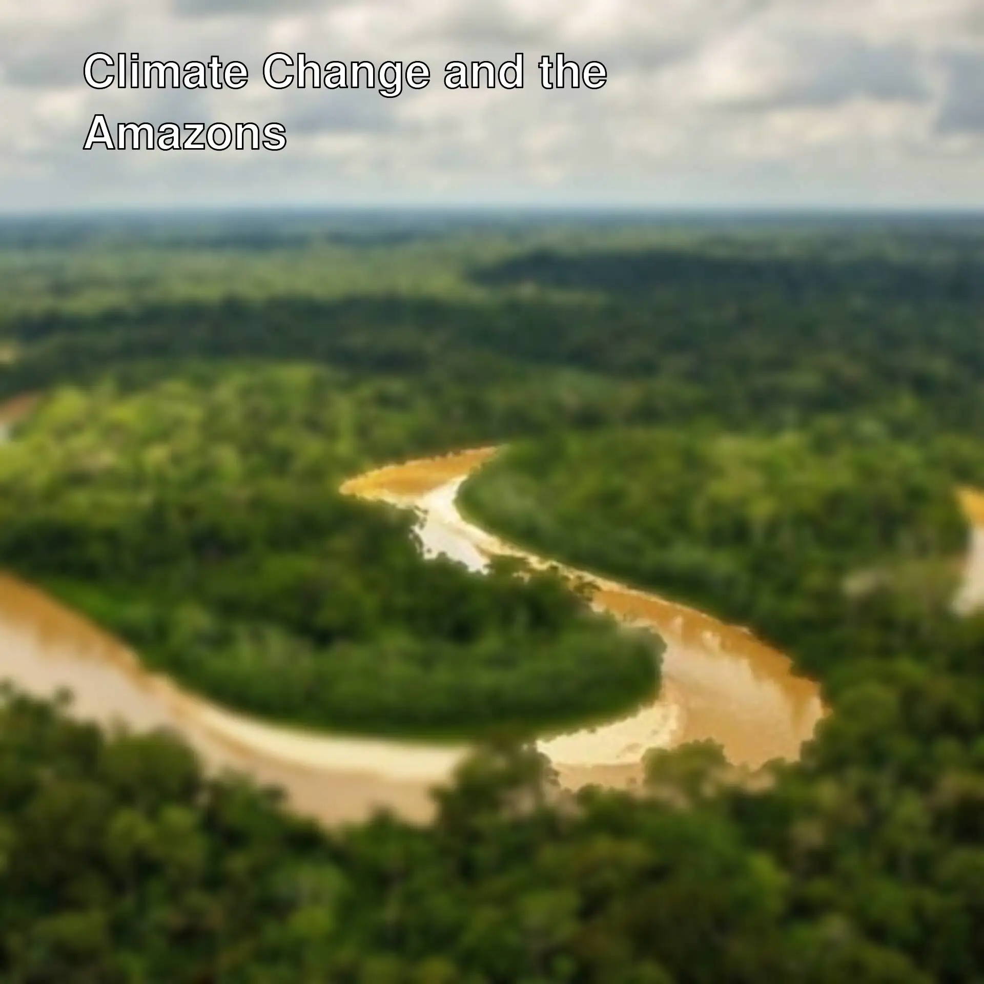 A river flowing through a forest A river flowing through a forest