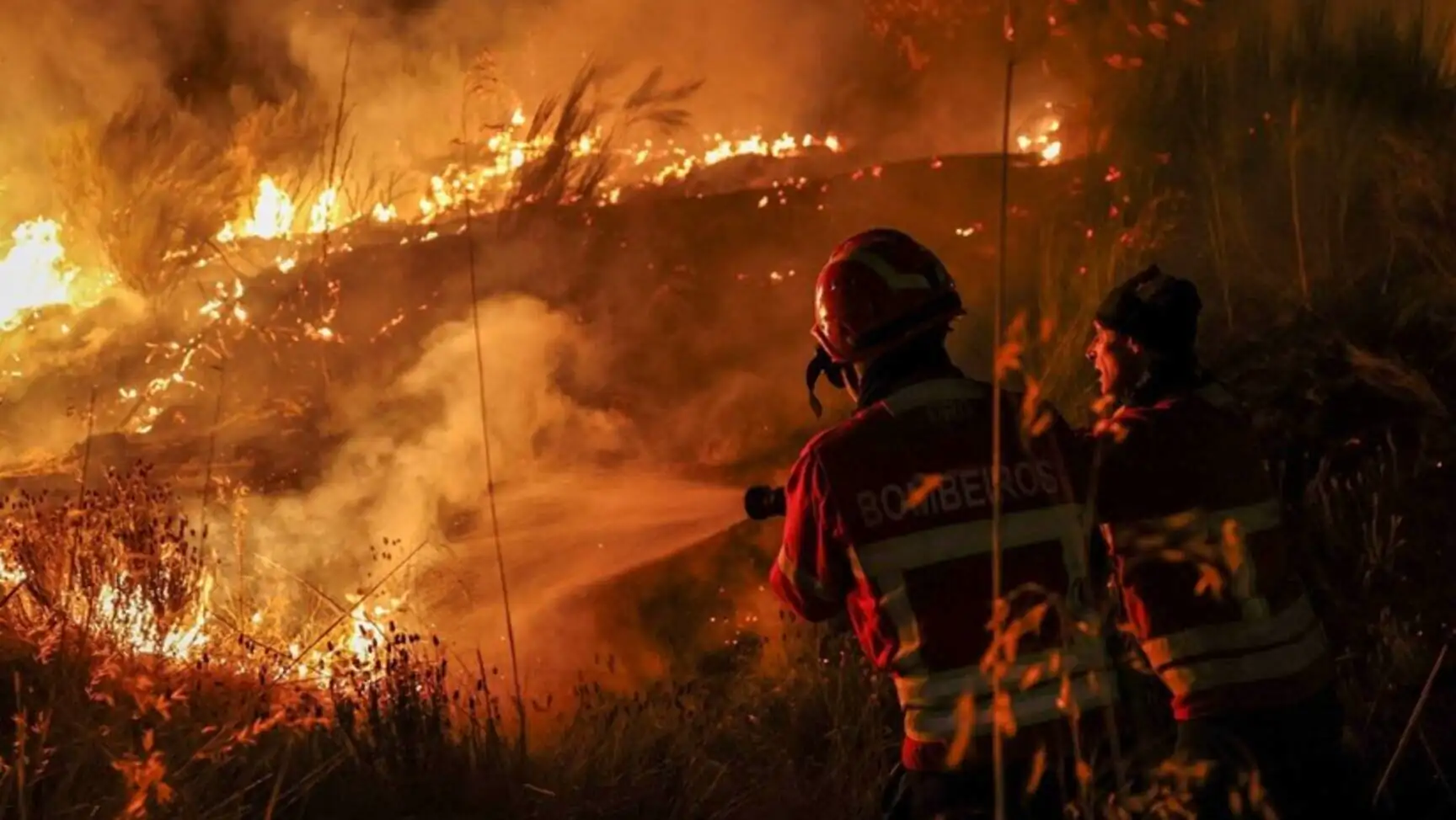A firefighter spraying water on a field. A firefighter spraying water on a field.