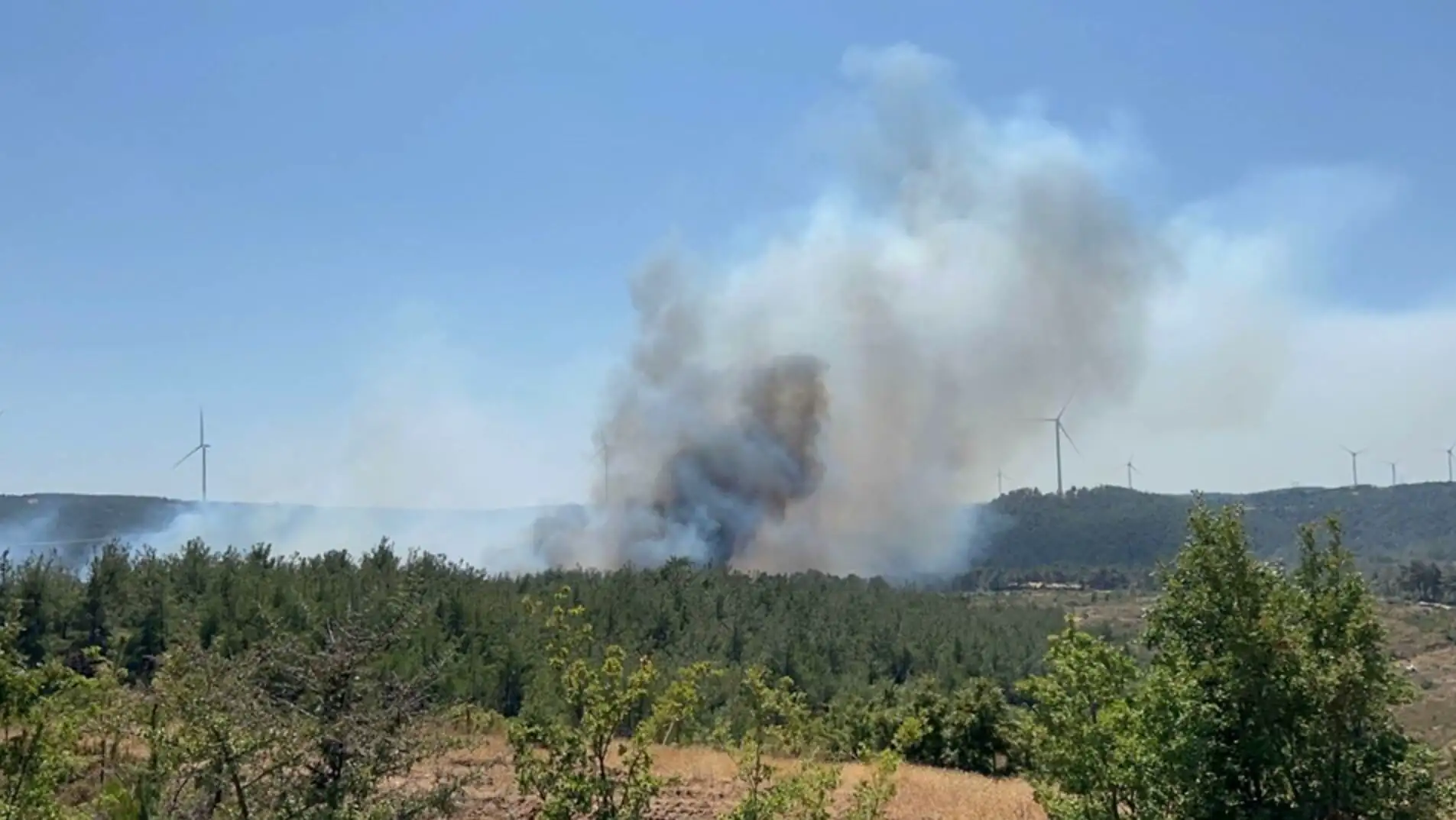 A forest fire with smoke and trees. A forest fire with smoke and trees.