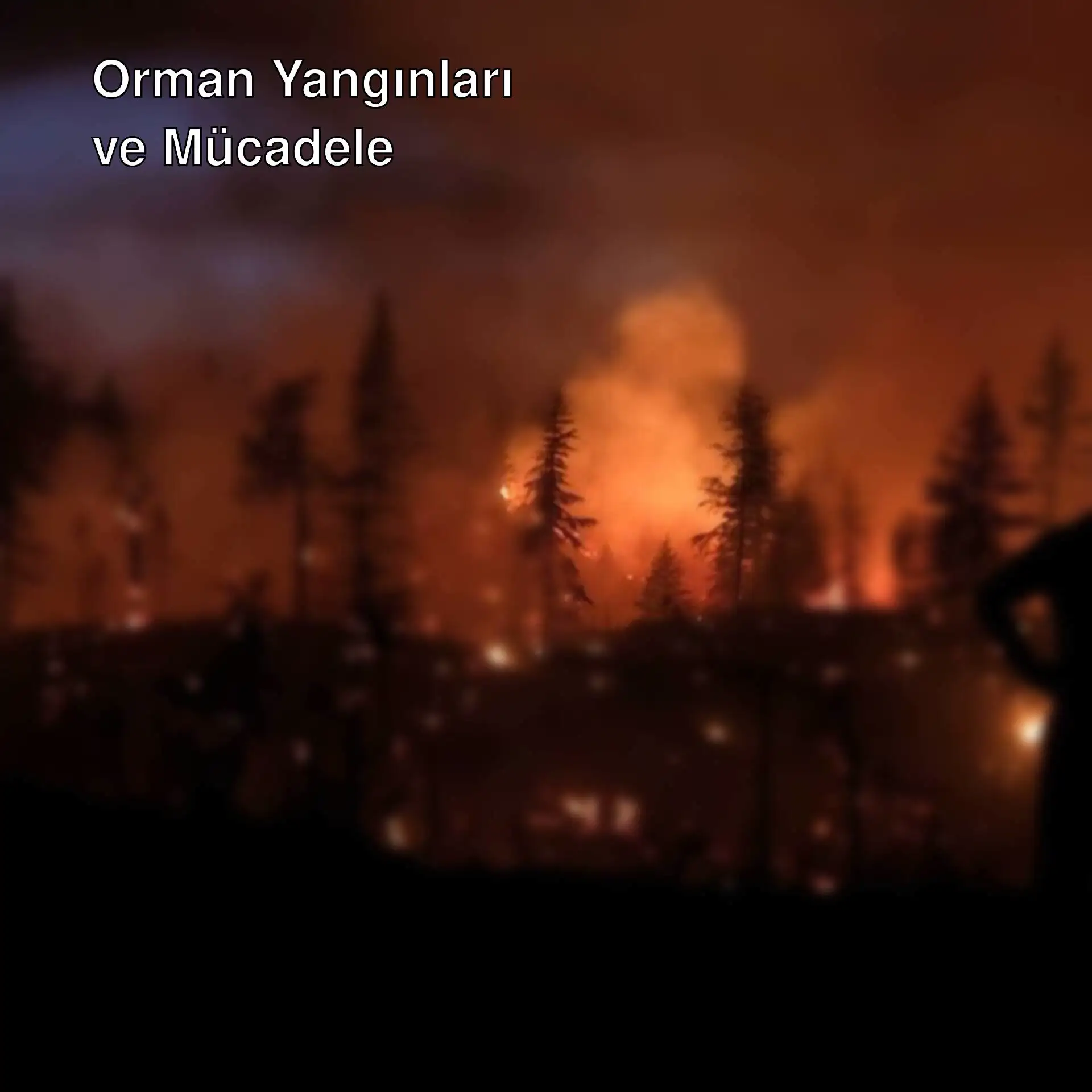 Kocaeli, Karaman ve Diyarbakır'da orman yangını ile mücadele. Kocaeli, Karaman ve Diyarbakır'da orman yangını ile mücadele.