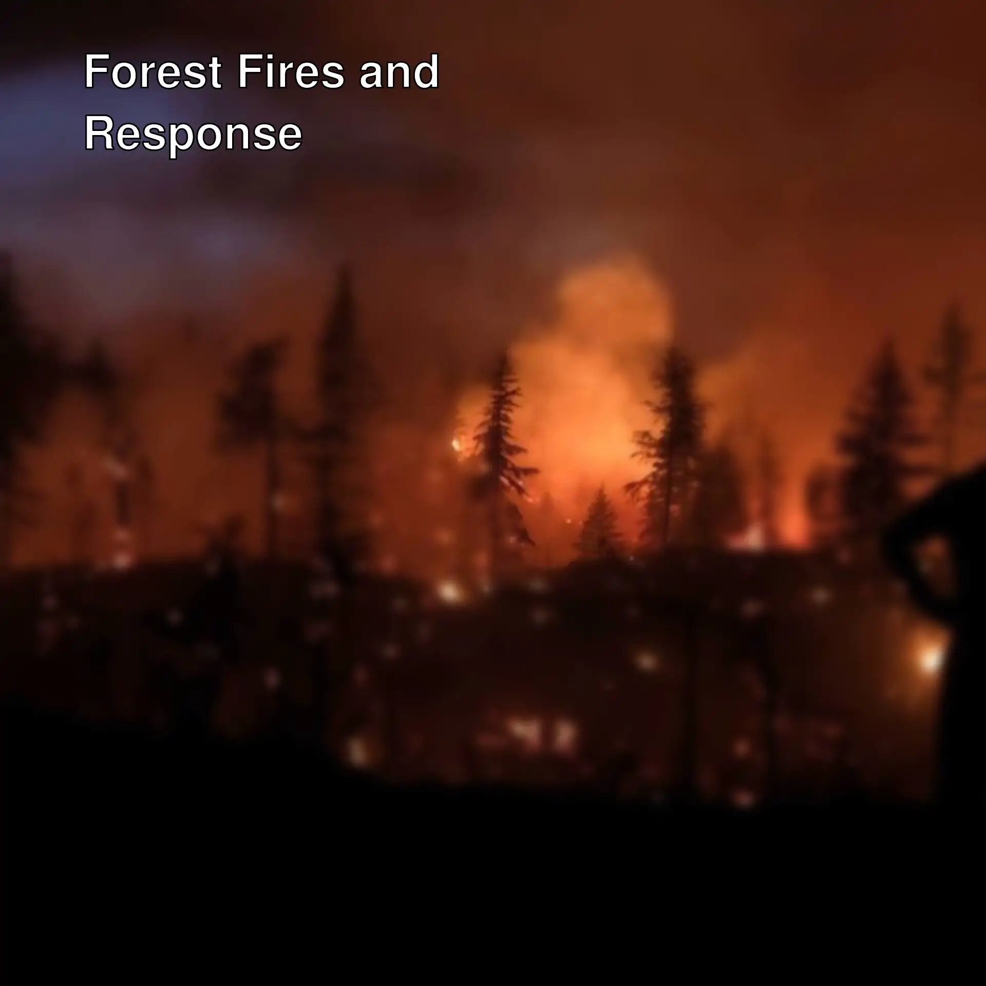 Forest fire response in Kocaeli, Karaman, and Diyarbakır. Forest fire response in Kocaeli, Karaman, and Diyarbakır.