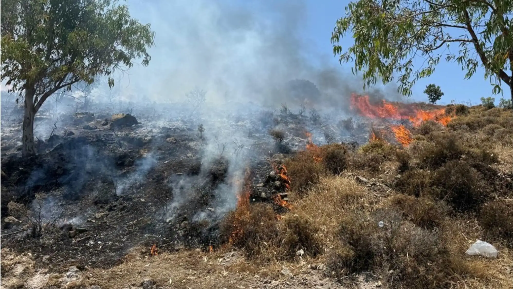 Smoke rising from a hillside fire in Bodrum. Smoke rising from a hillside fire in Bodrum.