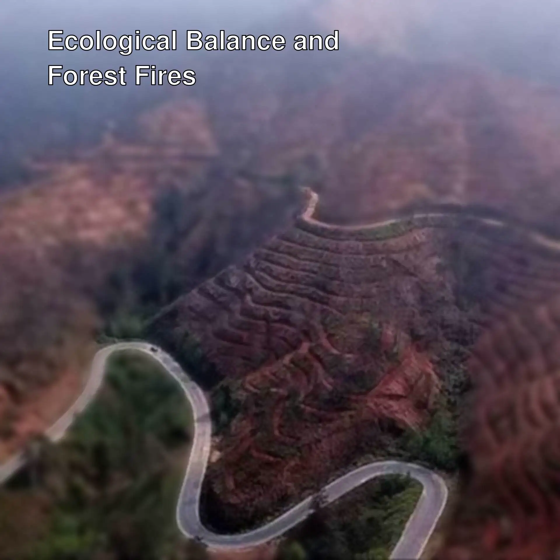 Warning for ecological balance to protect nature. Warning for ecological balance to protect nature.
