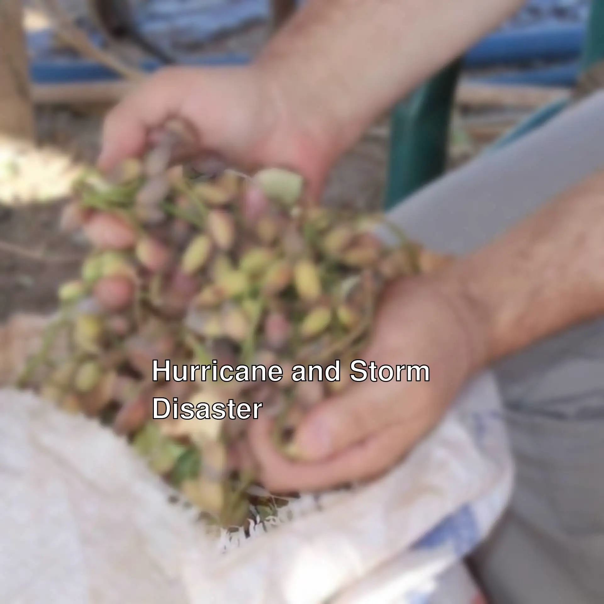 A person holding a bag of nuts. A person holding a bag of nuts.