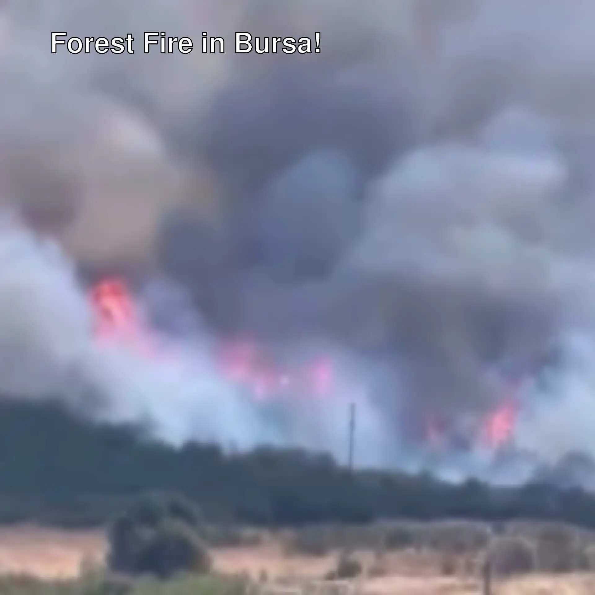 Image related to the forest fire in Bursa. Image related to the forest fire in Bursa.