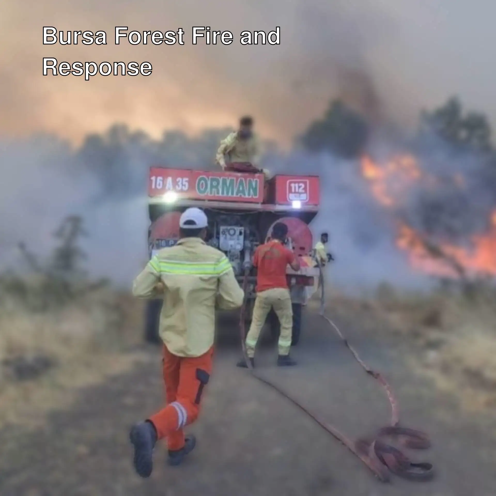 Firefighters during a forest fire in Bursa. Firefighters during a forest fire in Bursa.