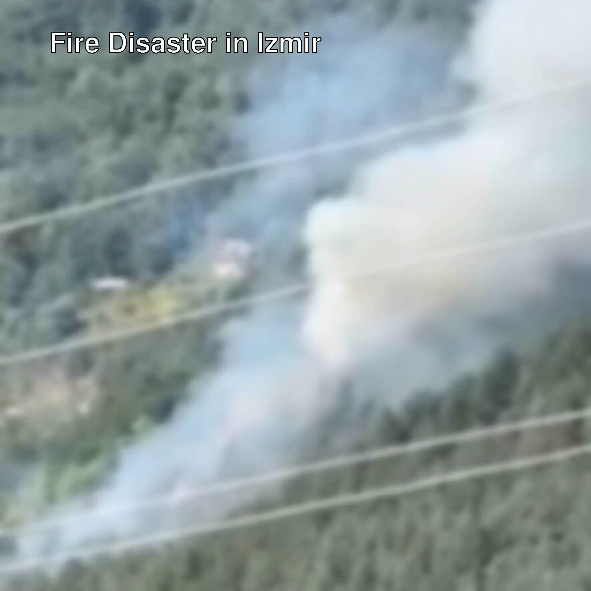 Smoke rising from the forest. Smoke rising from the forest.
