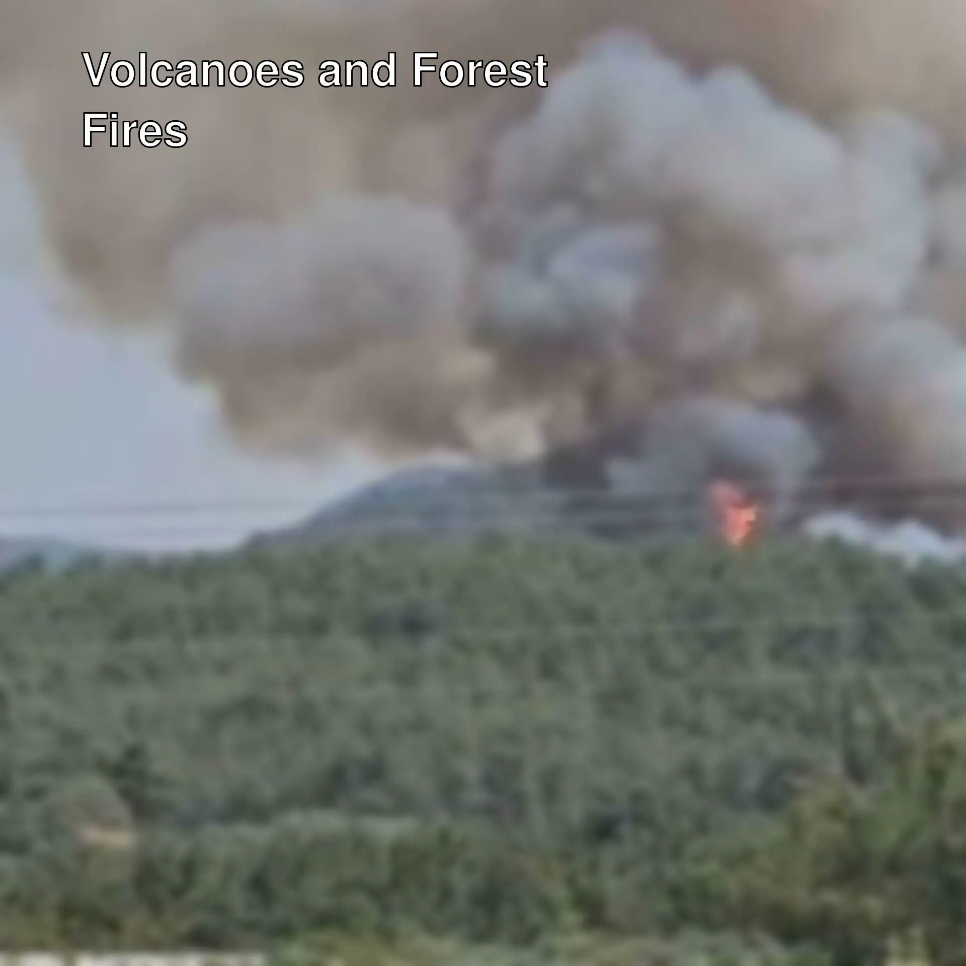 Efforts continue to combat forest fires in Turkey. Efforts continue to combat forest fires in Turkey.