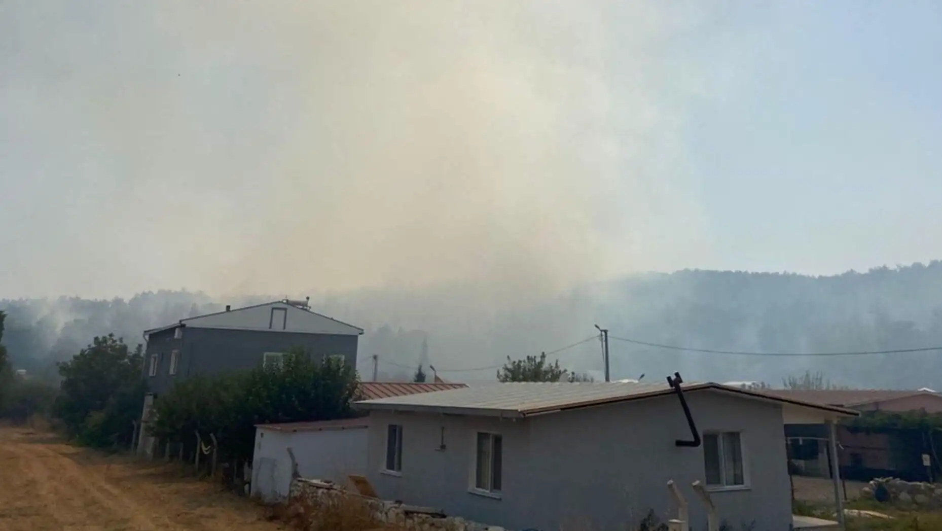 A forest fire and a house. A forest fire and a house.