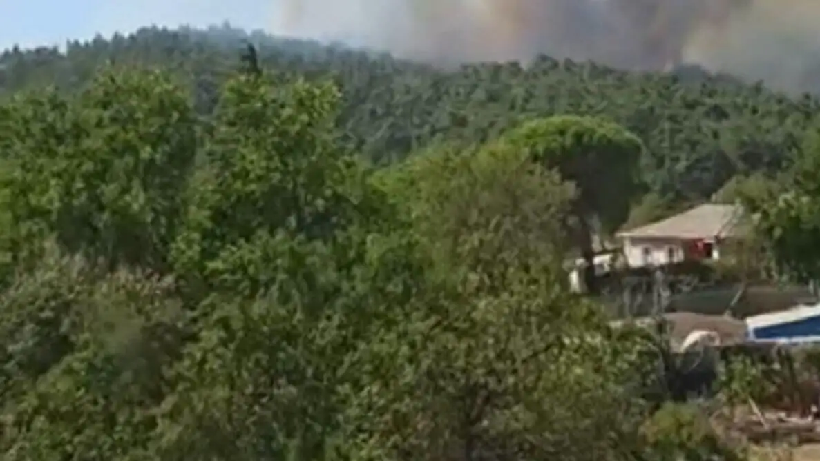 A forest fire and smoke. A forest fire and smoke.