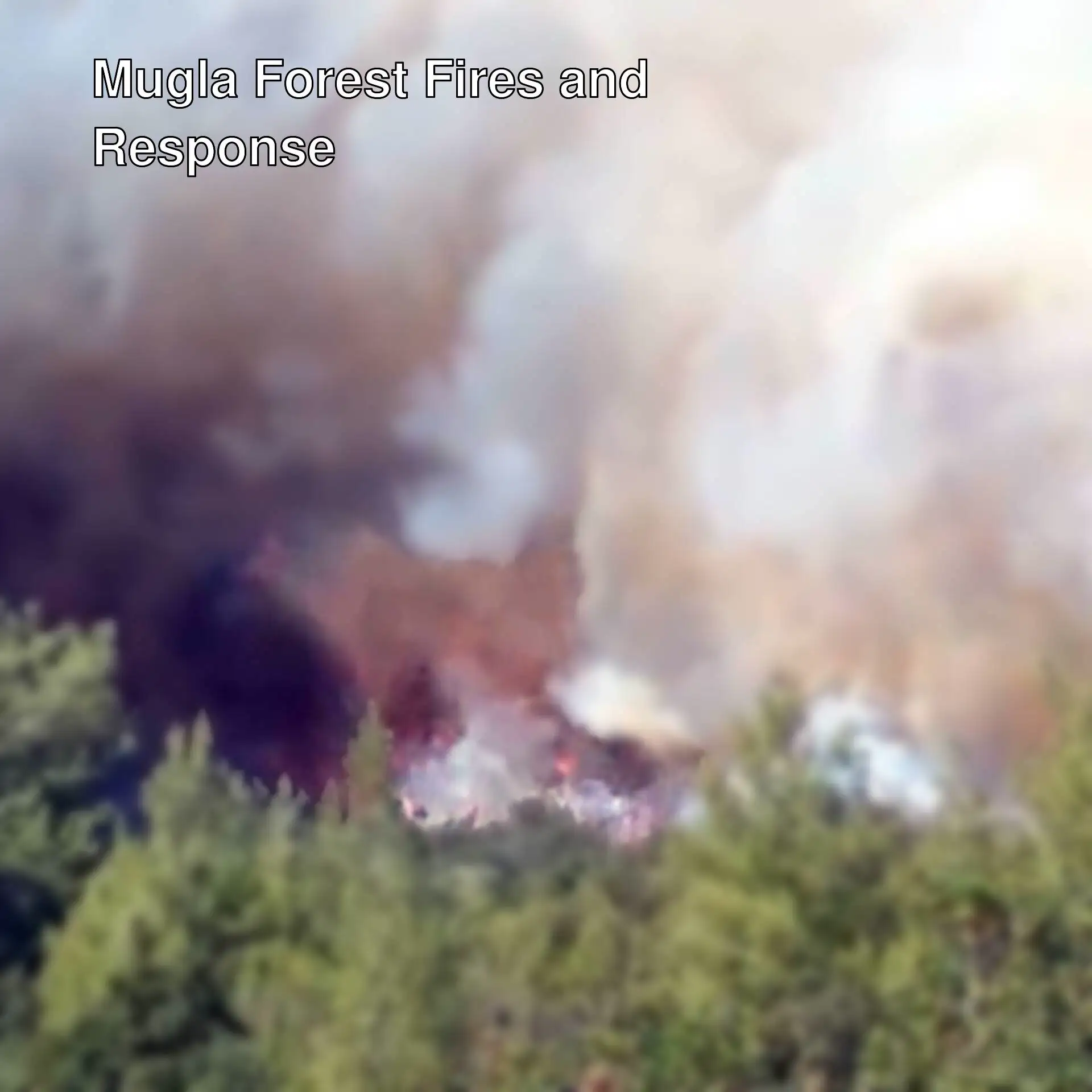 Mugla forest fire, flames and smoke. Mugla forest fire, flames and smoke.