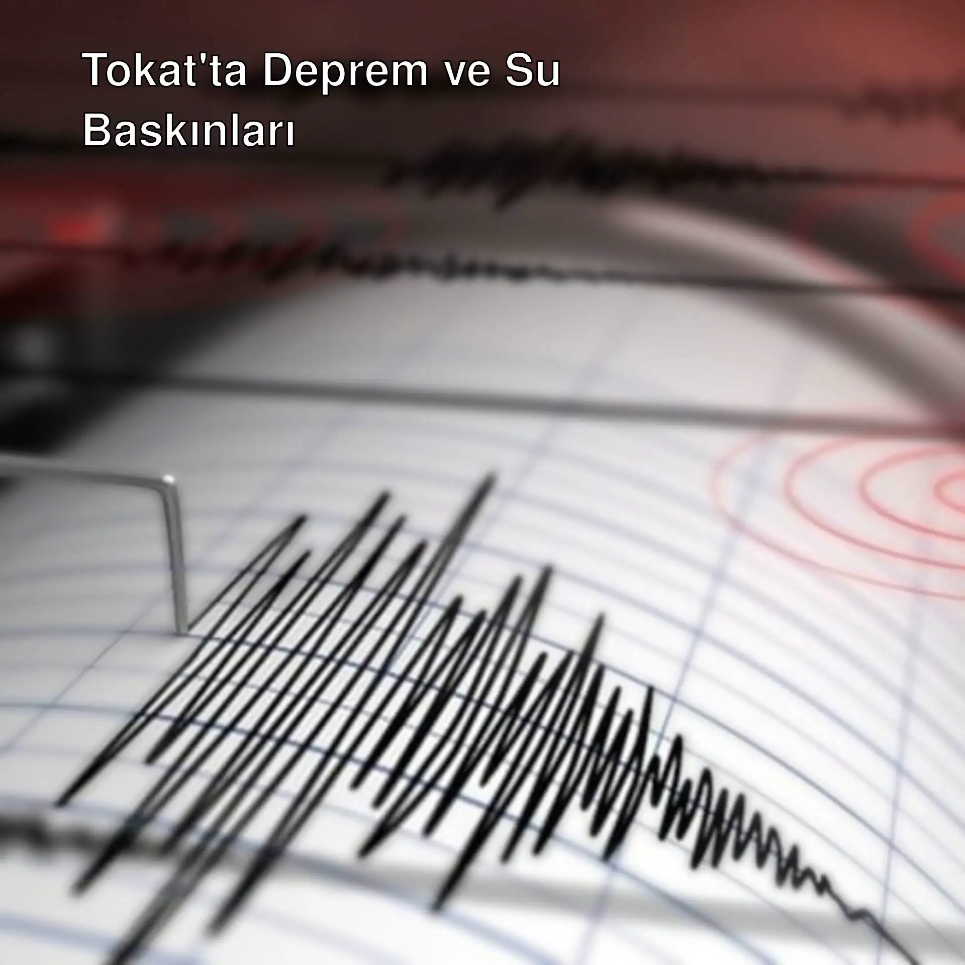 Bir depremin sismogramı Bir depremin sismogramı