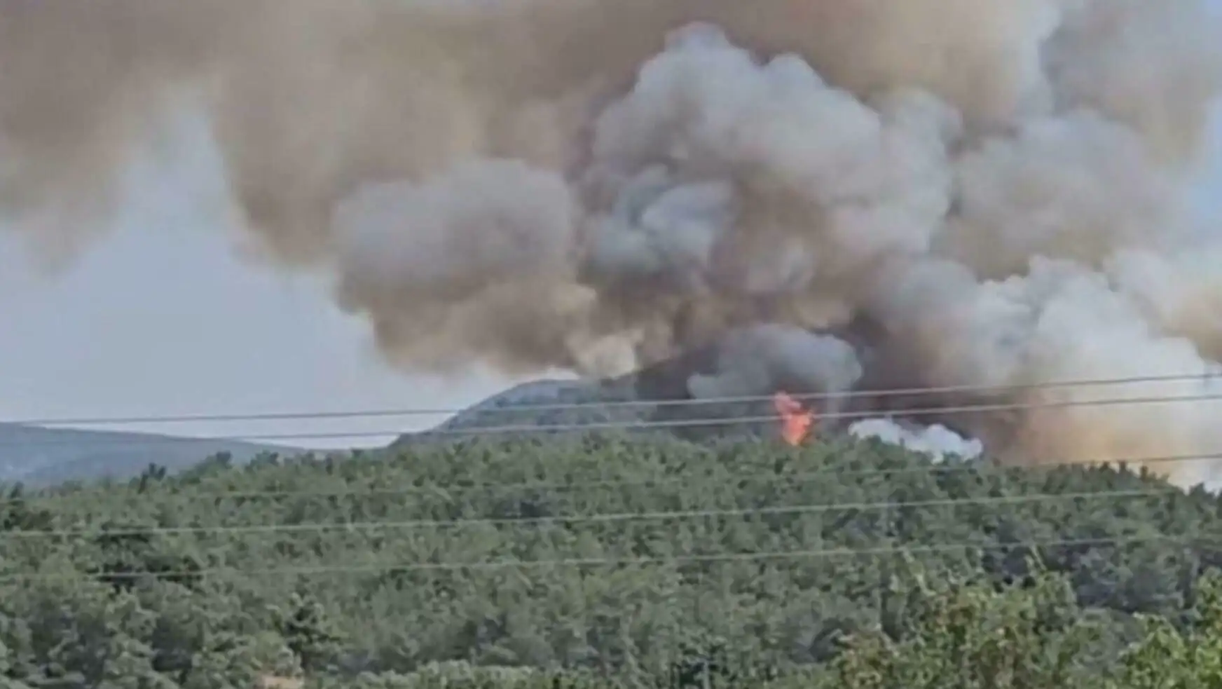 A forest fire with smoke coming out of it A forest fire with smoke coming out of it
