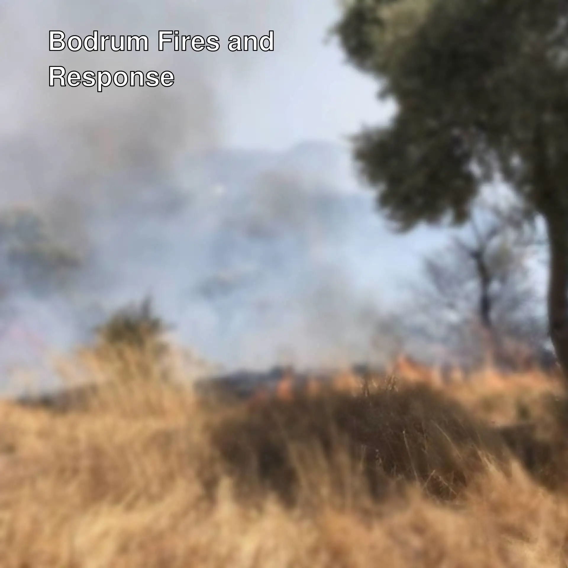 An image related to the forest fire in Bodrum. An image related to the forest fire in Bodrum.