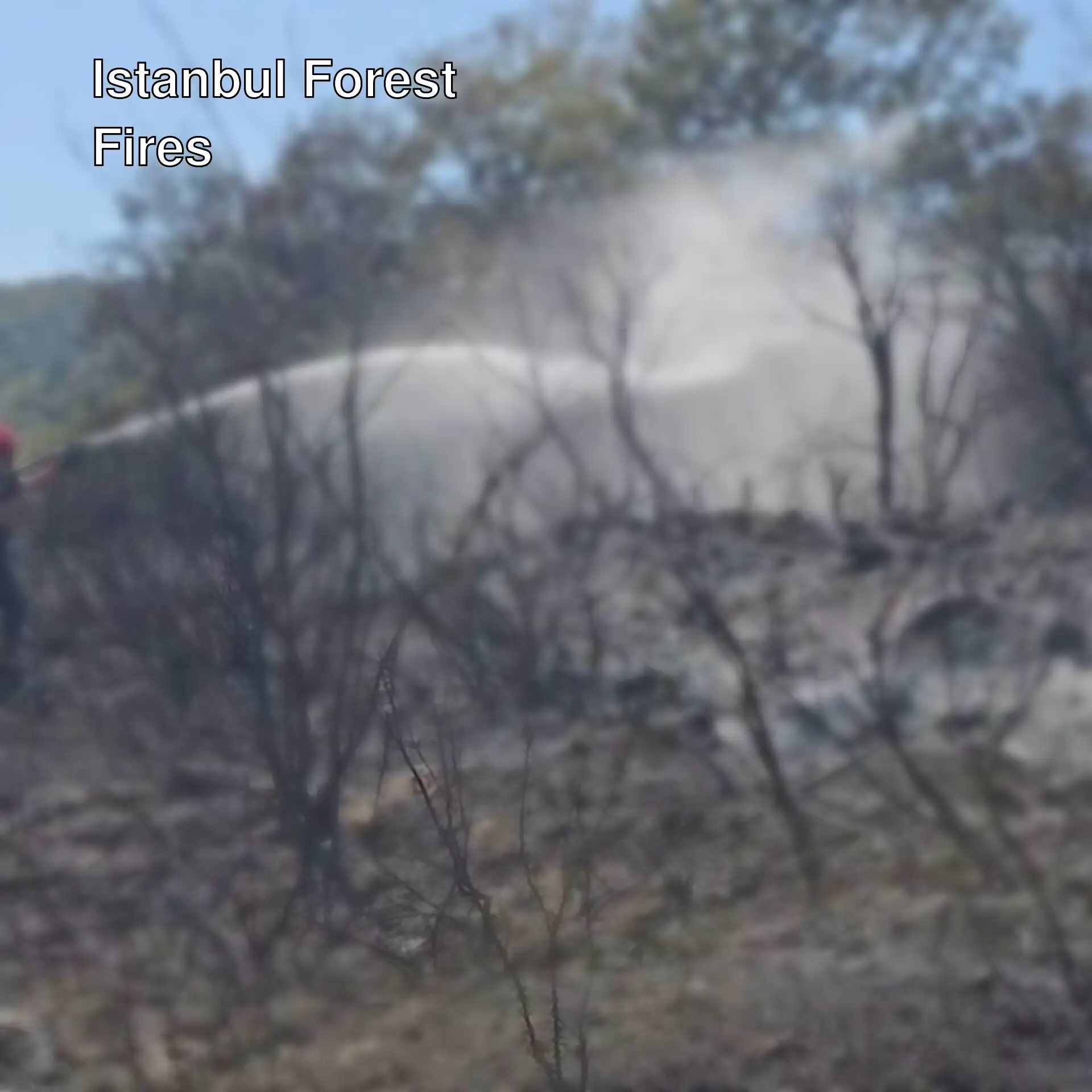 Firefighting efforts in progress. Firefighting efforts in progress.