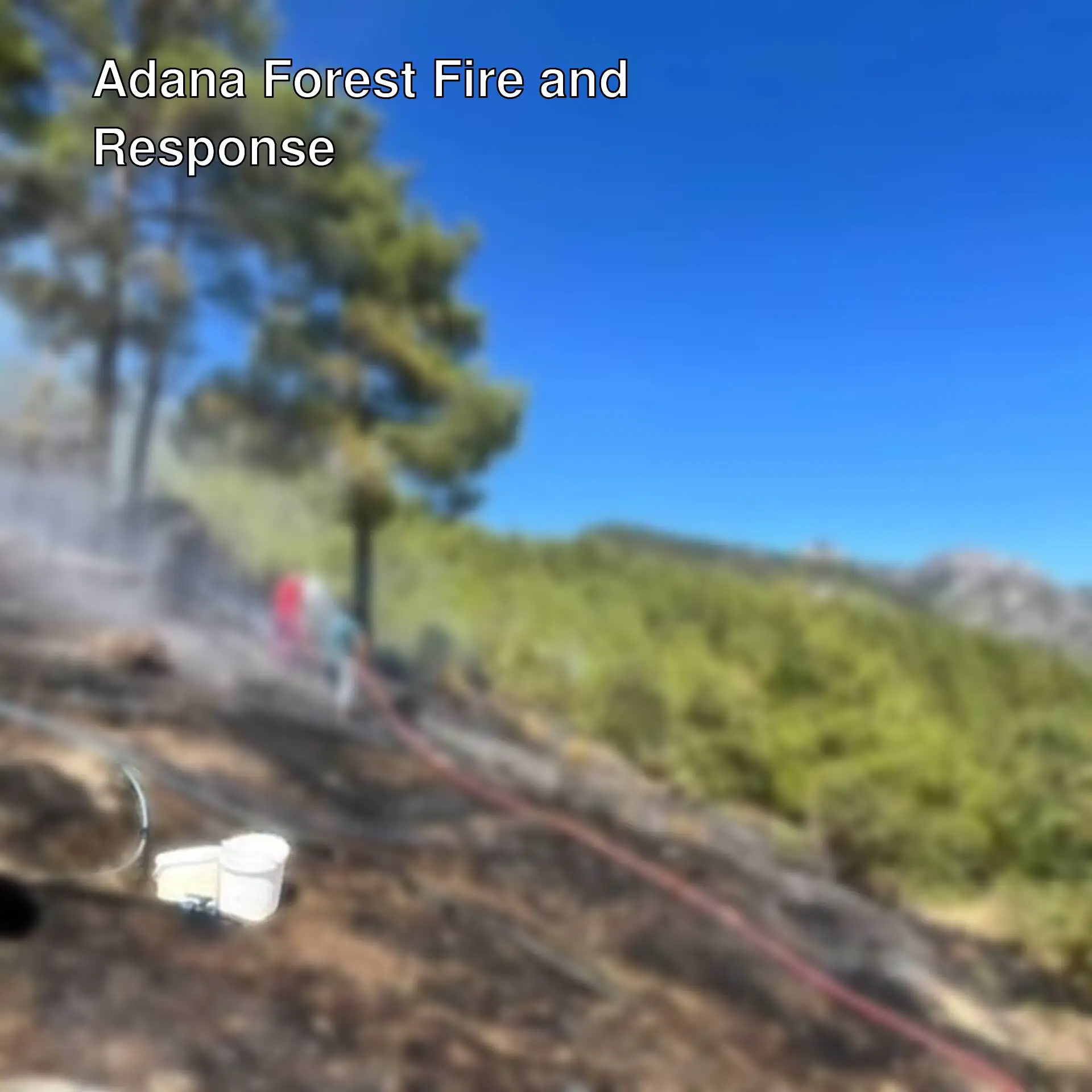 Teams intervening in the forest fire in Adana.