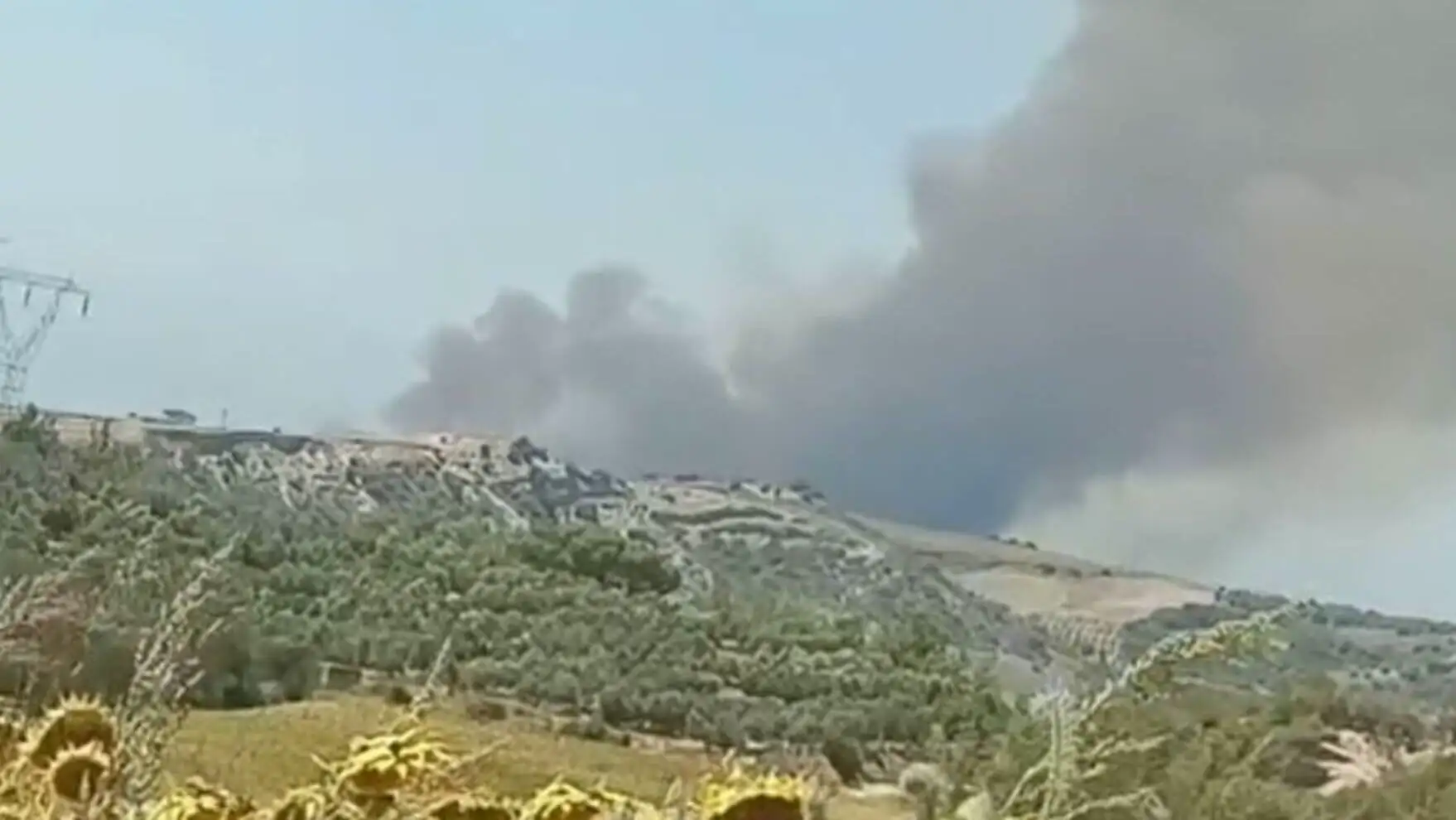 Smoke rising from the forest fire in Adana.