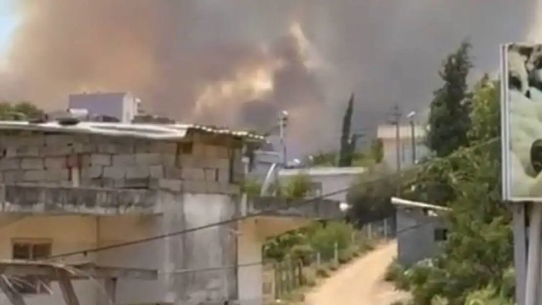 Image related to the forest fire in Adana.