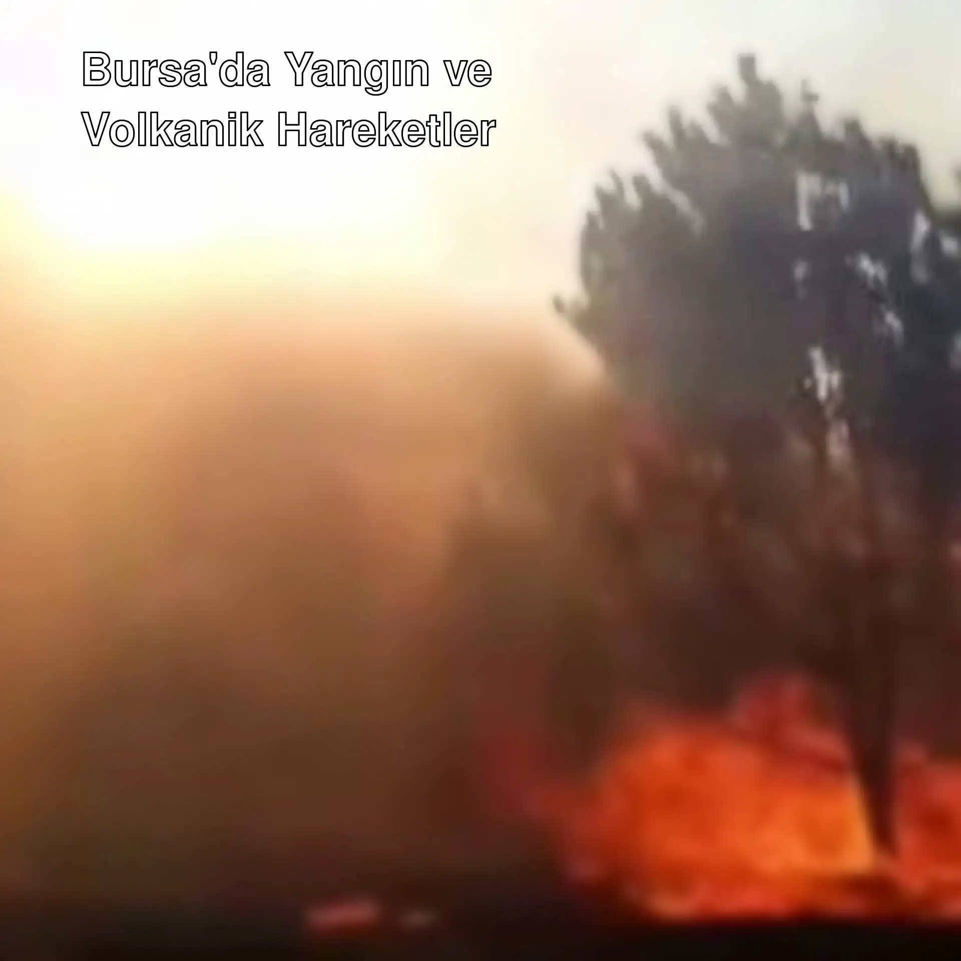 Bursa'da orman yangını sırasında dumanlar. Bursa'da orman yangını sırasında dumanlar.
