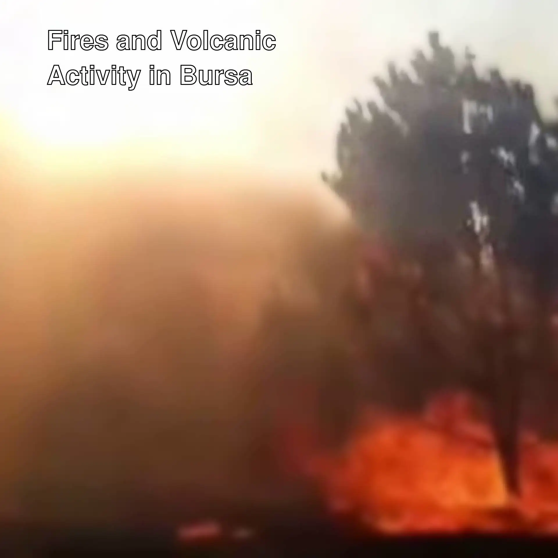 Smoke during a forest fire in Bursa.