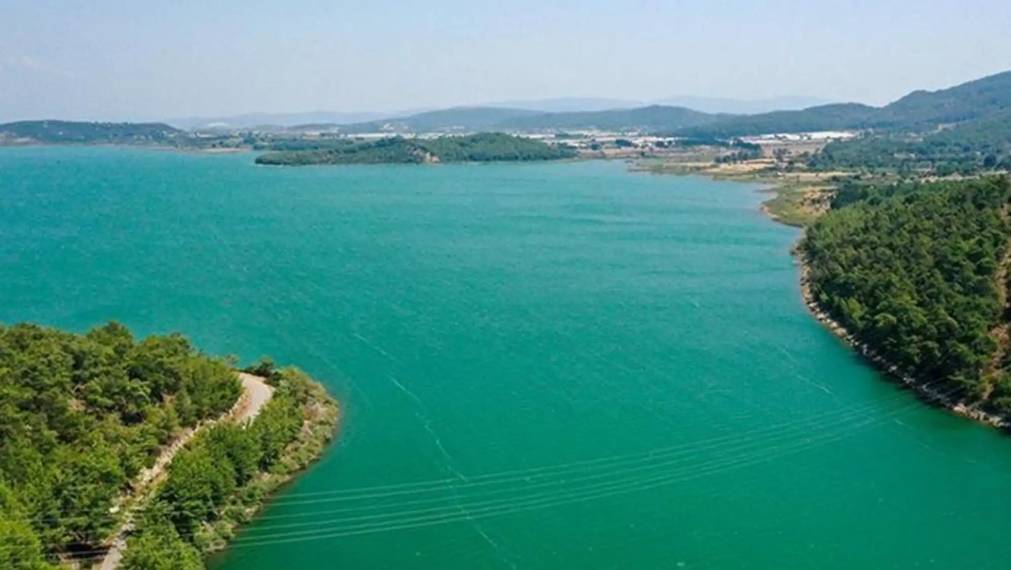 A large body of water with trees A large body of water with trees
