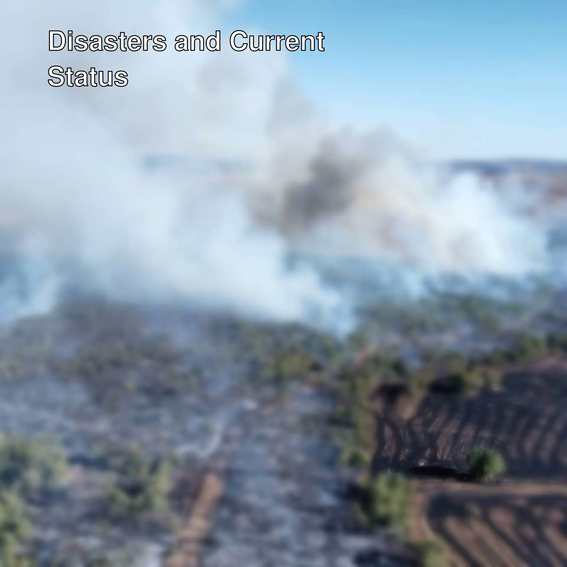 Forest fire in Çorum. Smoke is rising.