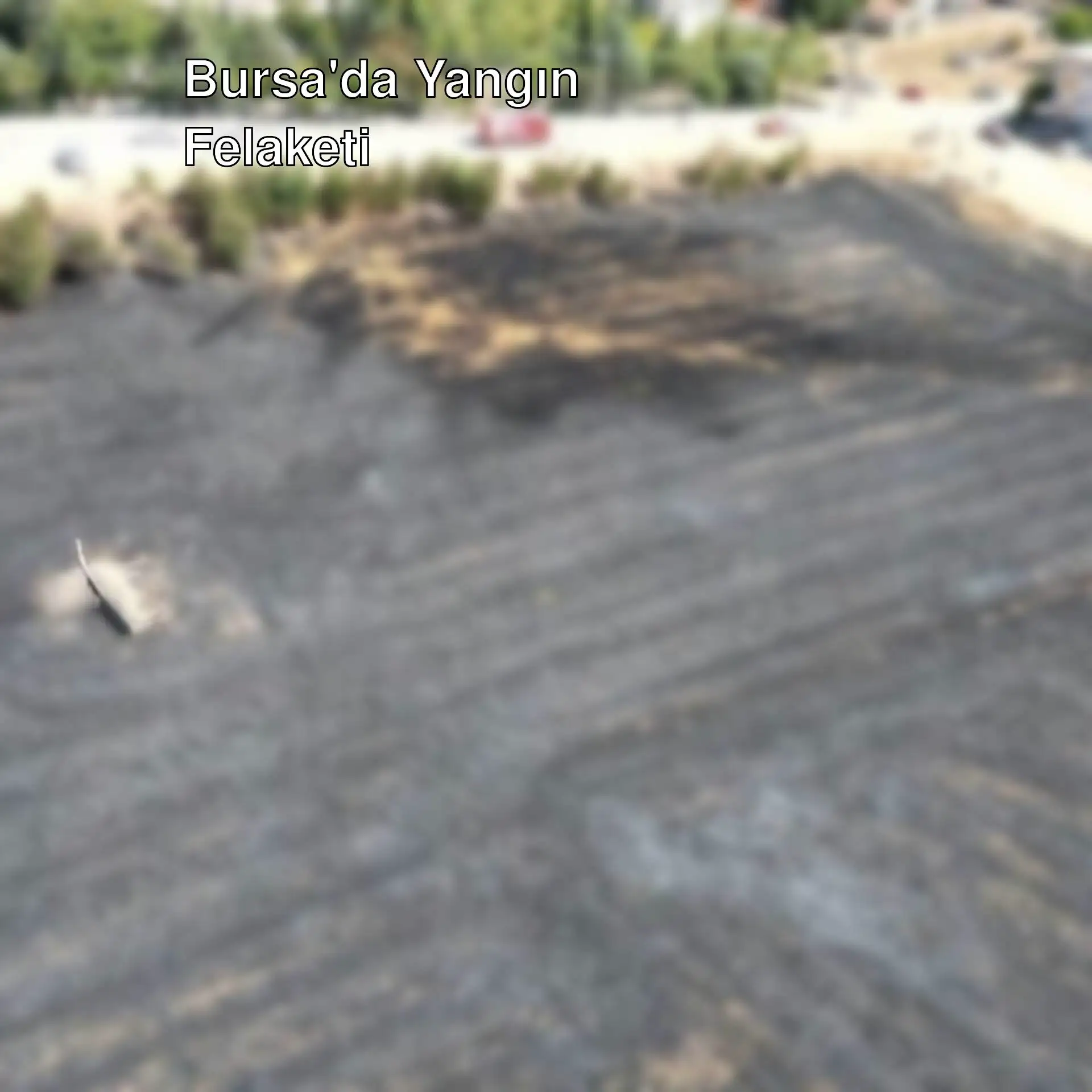 Bursa'da yangın sonrası zarar gören alan.