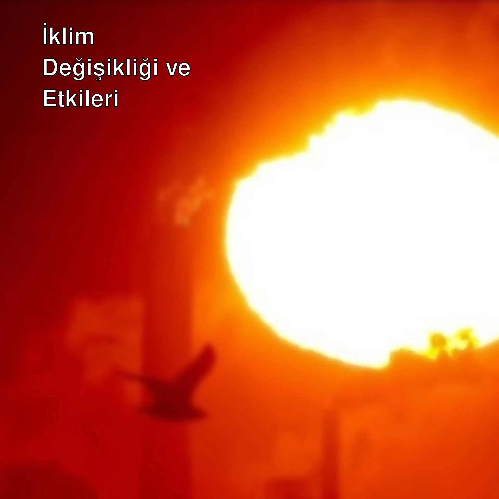 İklim değişikliği ile ilgili bir görsel. İklim değişikliği ile ilgili bir görsel.