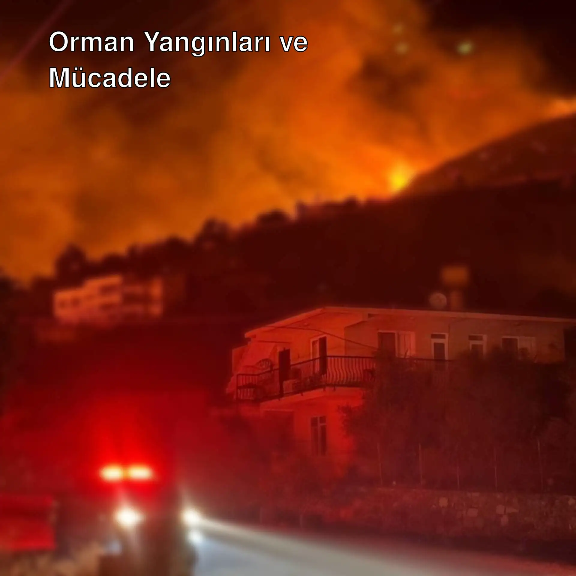 Antalya ve Muğla'da orman yangınları Antalya ve Muğla'da orman yangınları
