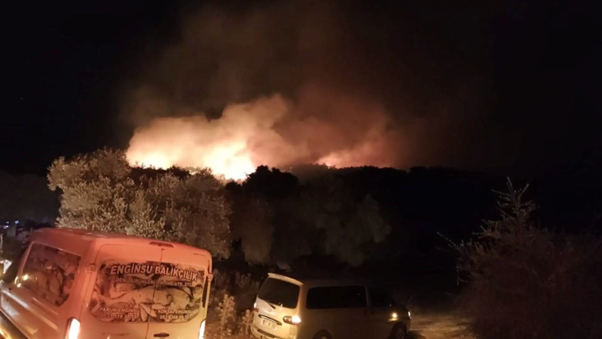 Gece ormanda çıkan yangın anları. Gece ormanda çıkan yangın anları.