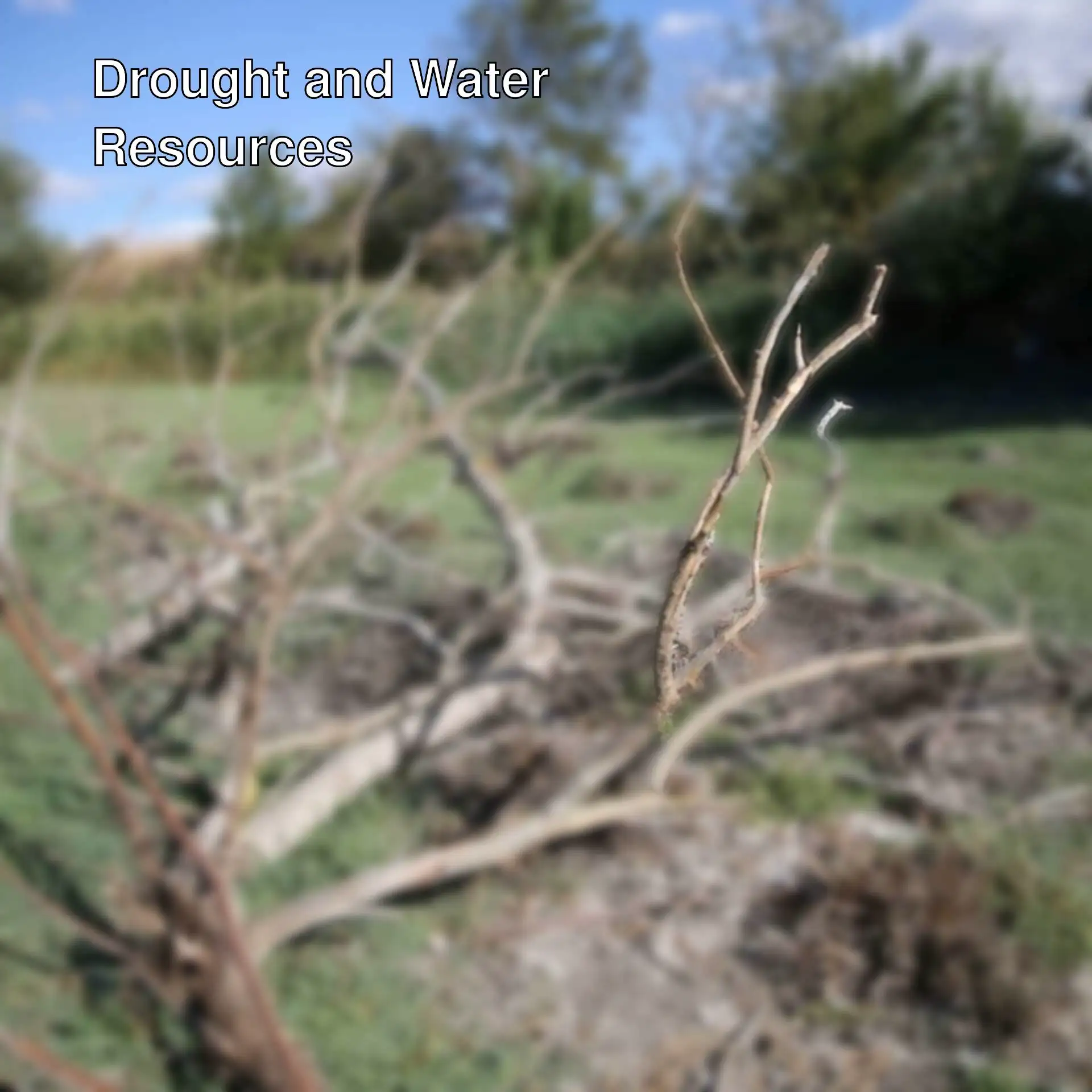 Water resources are at risk due to drought in Thrace. Water resources are at risk due to drought in Thrace.