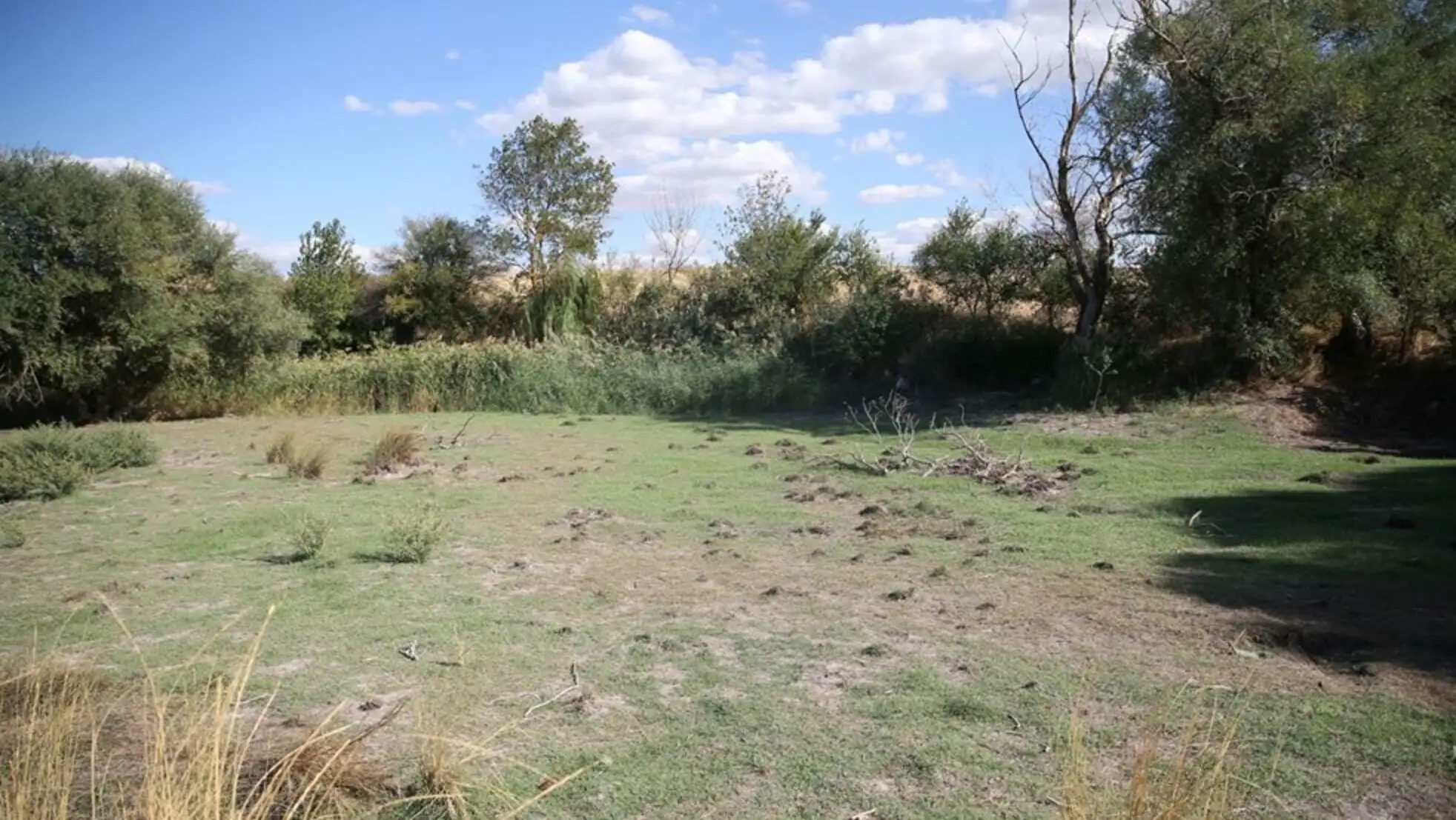 An area affected by drought. An area affected by drought.