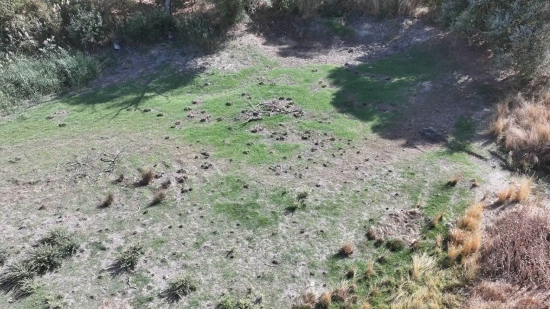 Water sources have dried up due to drought. Water sources have dried up due to drought.