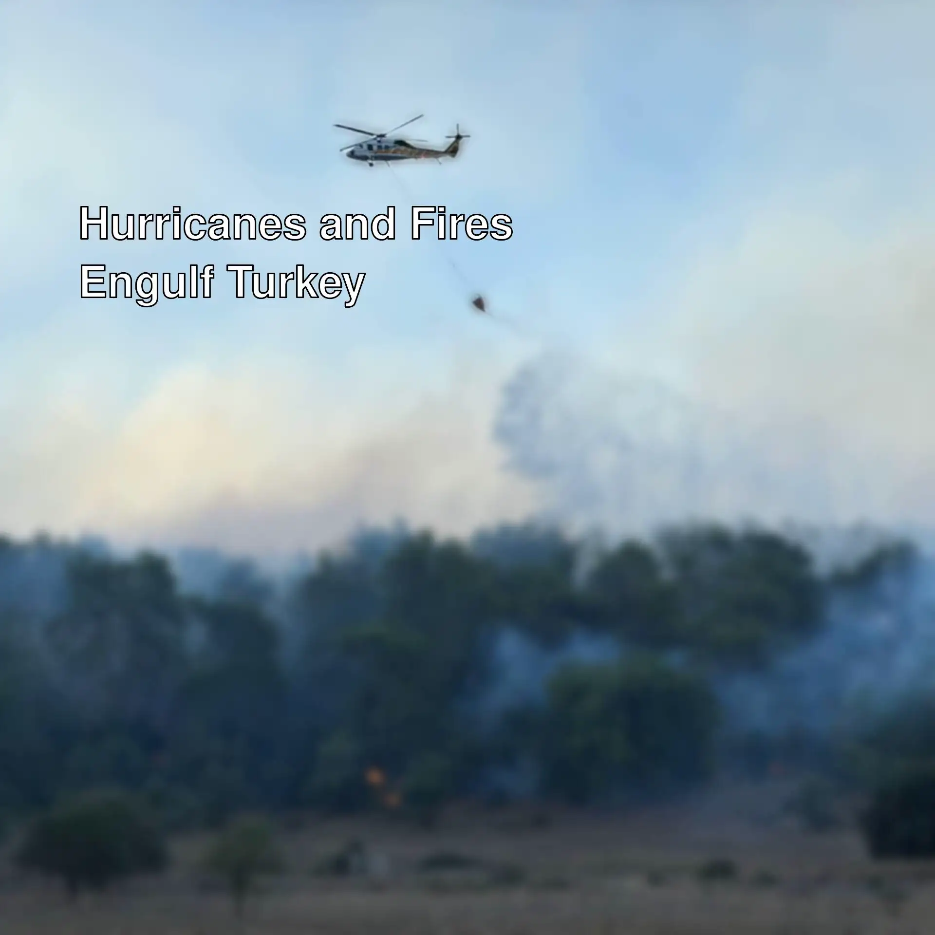 A helicopter dropping water on a forest fire. A helicopter dropping water on a forest fire.