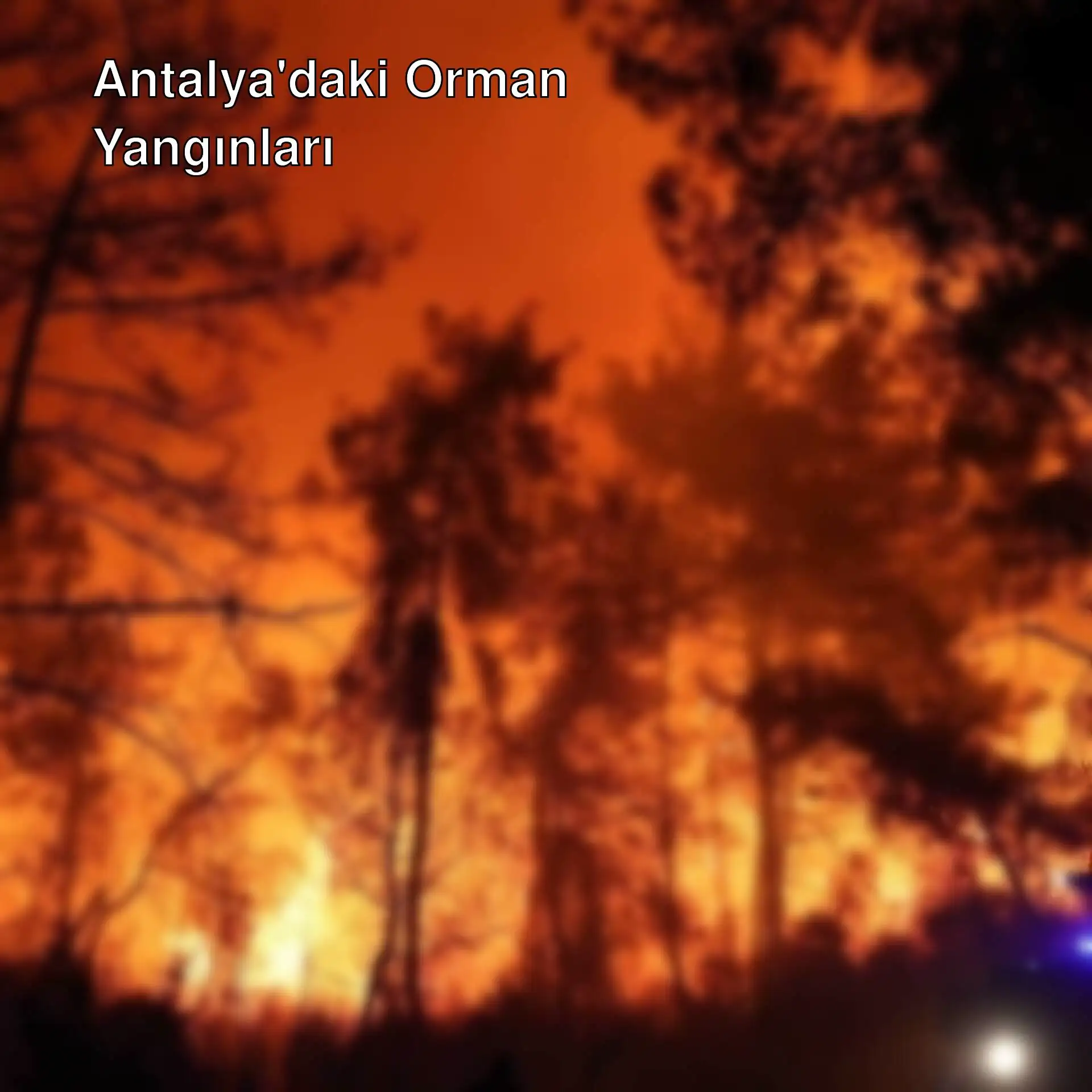 Gece ormanda yangın Gece ormanda yangın