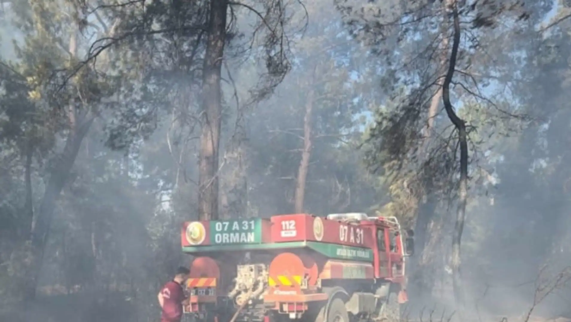 A fire truck in the woods