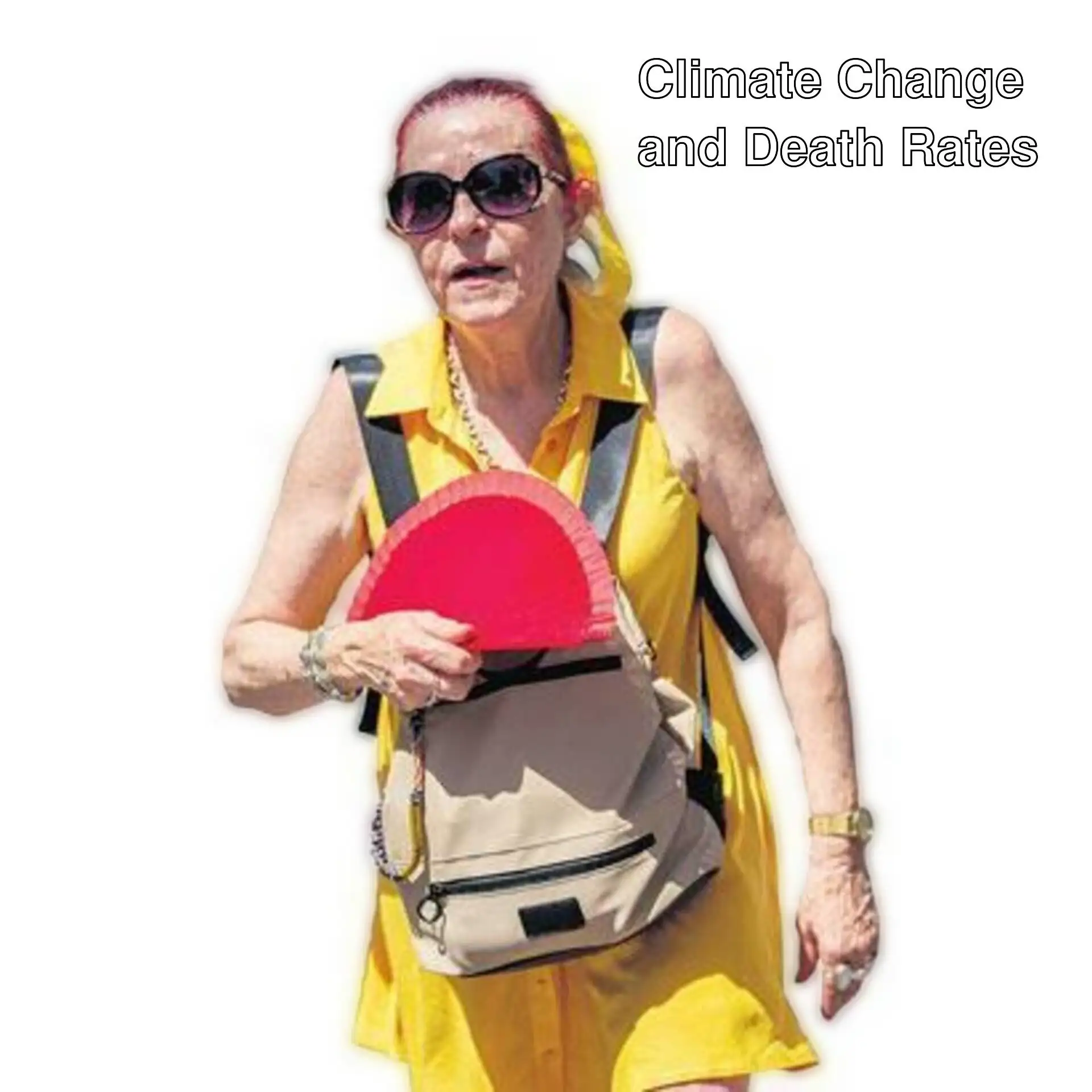 An image related to climate change and heat waves.