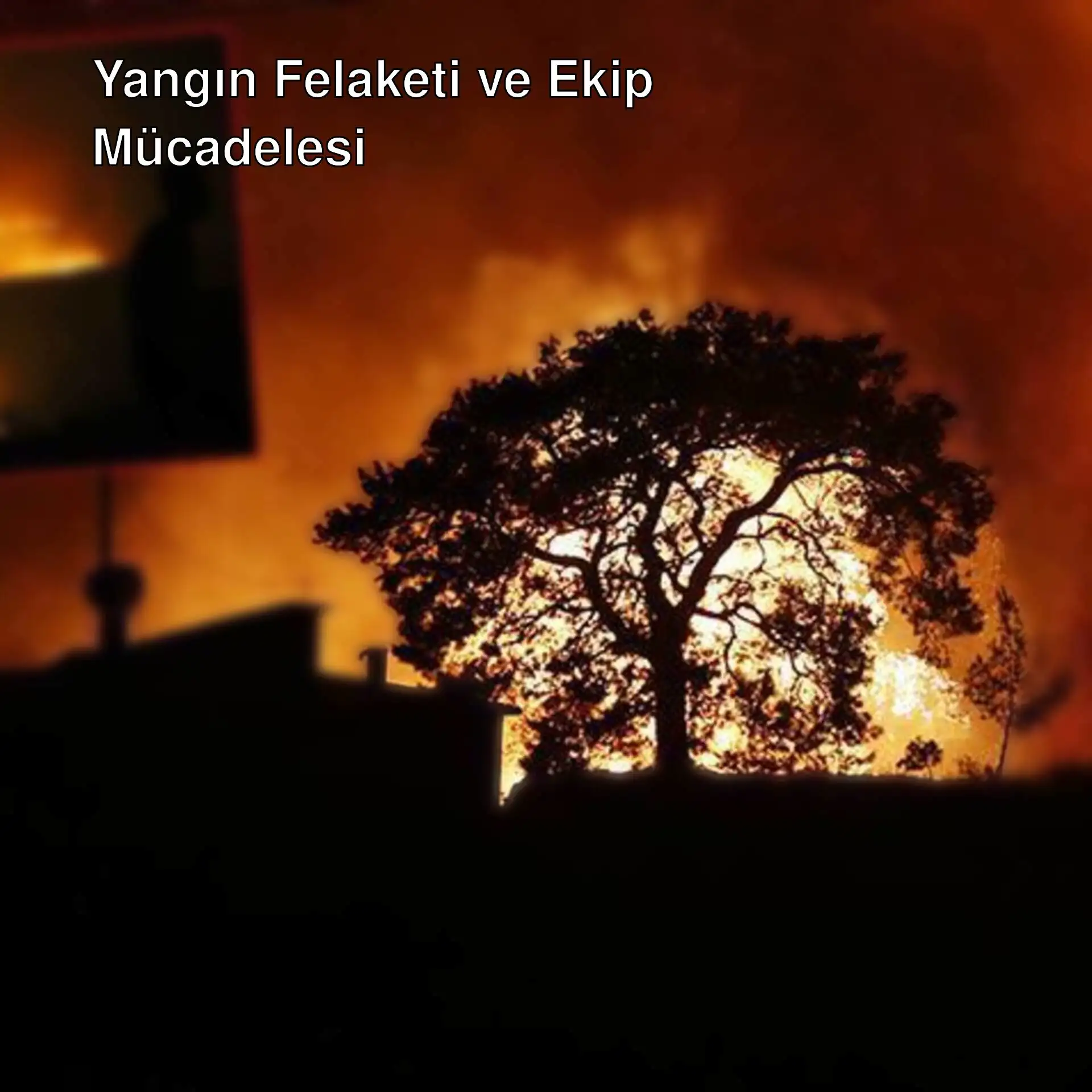 Ağaç ve arka planda yangın.