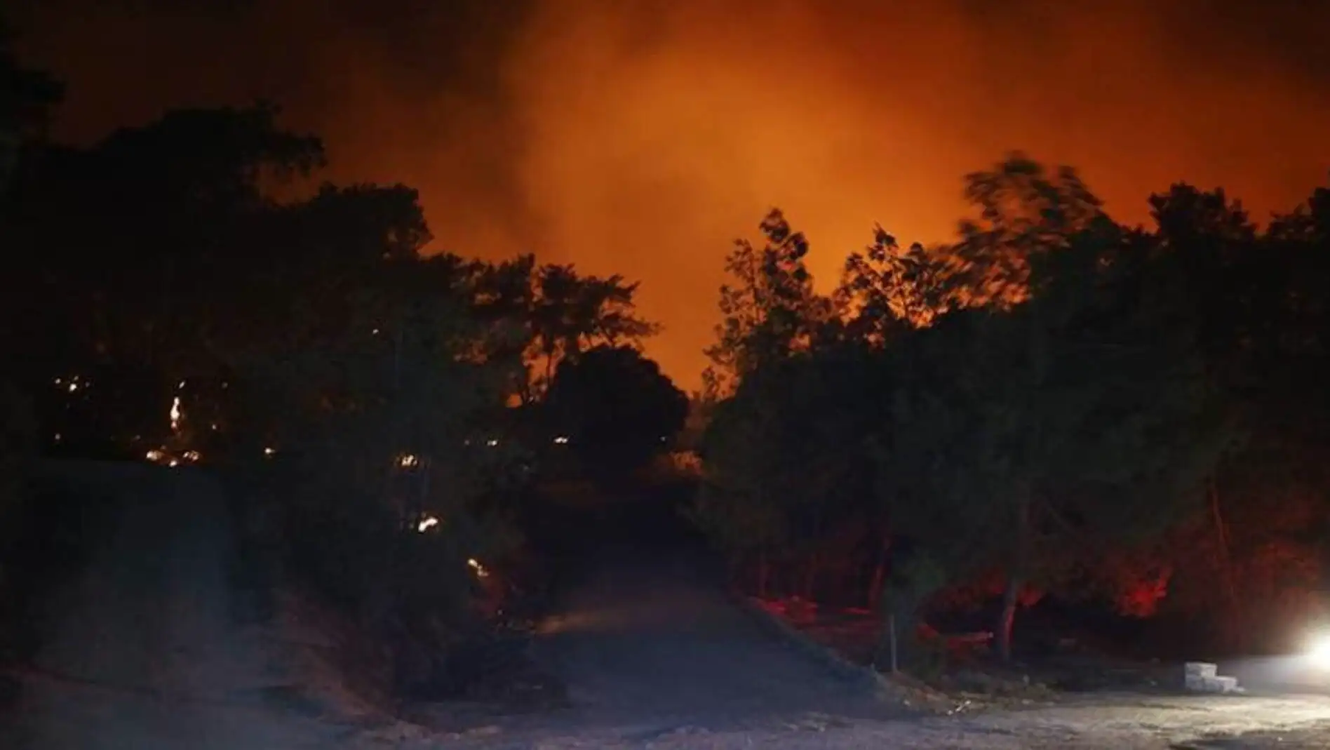 A road leading to a forest fire.