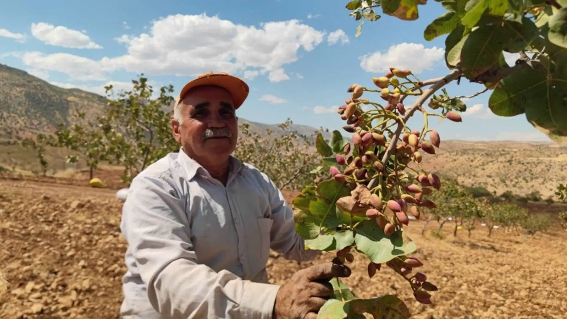 A man standing in a field holding a tree branch