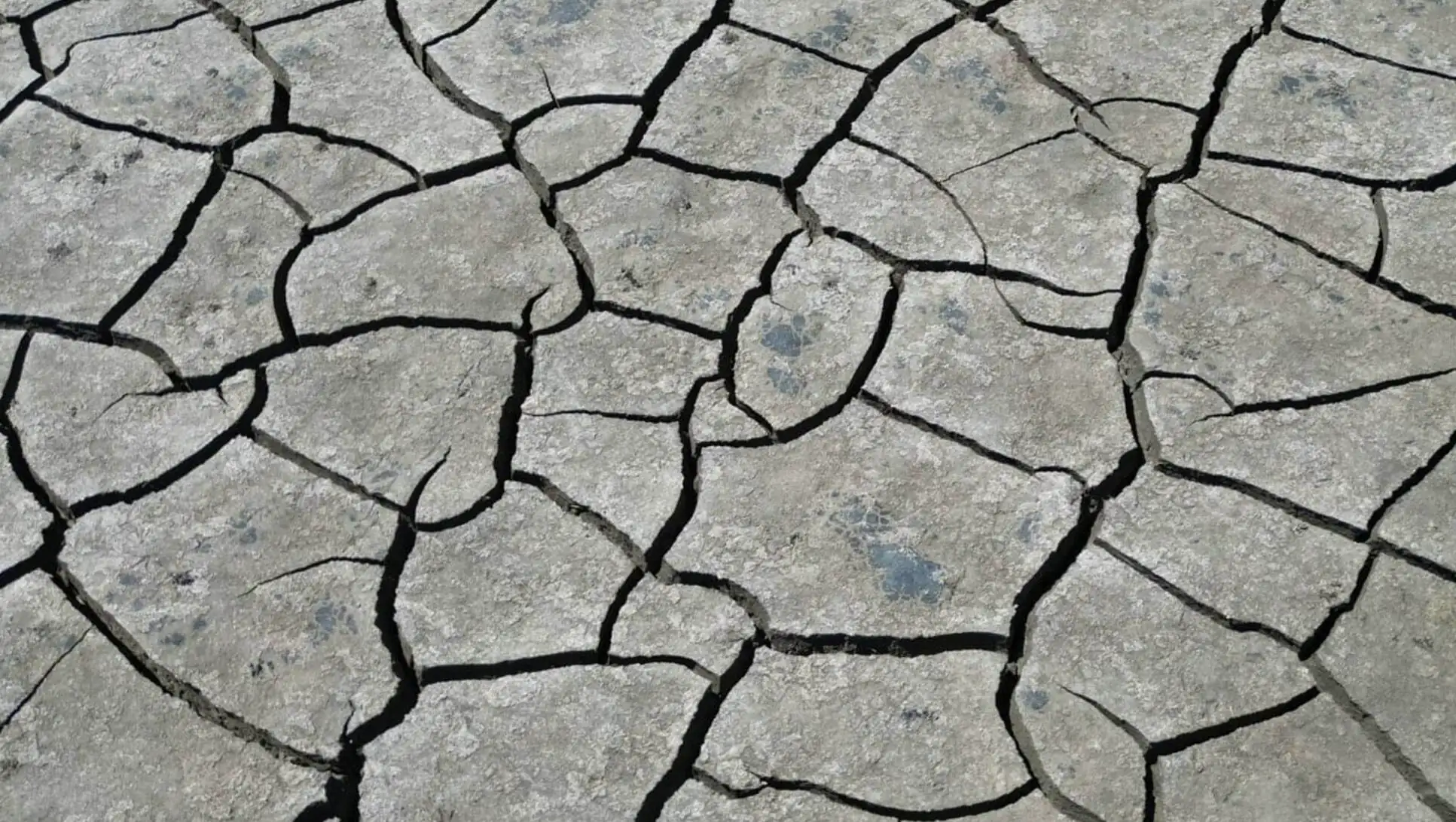 A cracked ground with cracks