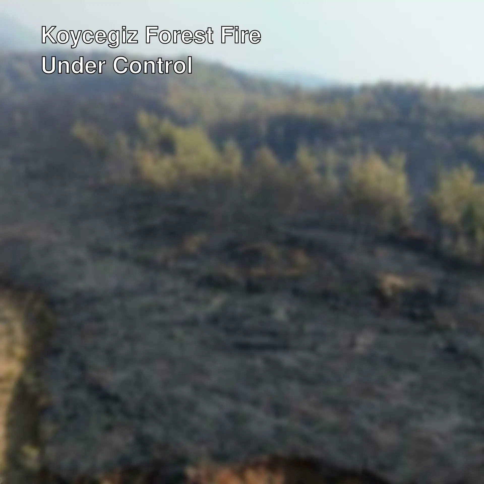 Flames during the forest fire in Mugla