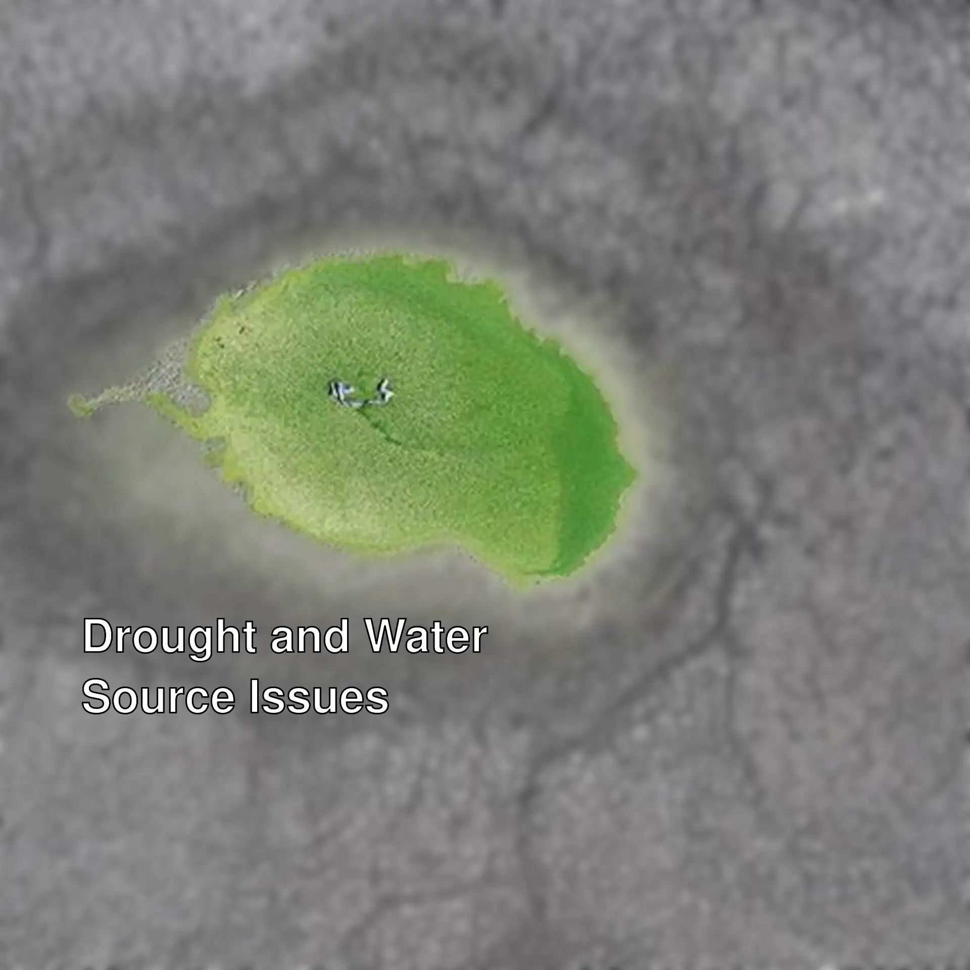 A pond with decreased water level due to drought.
