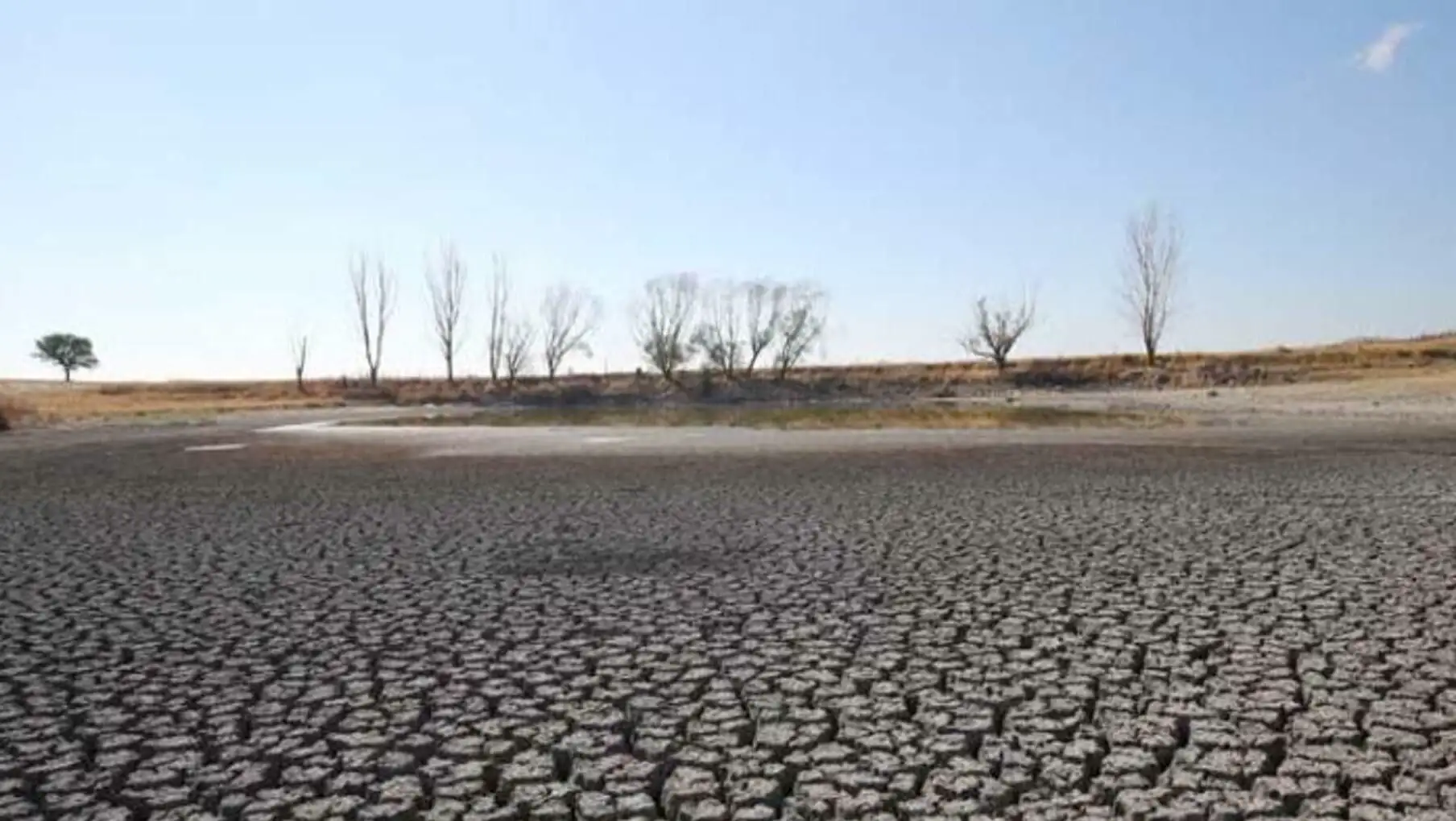 Cracked ground due to drought.