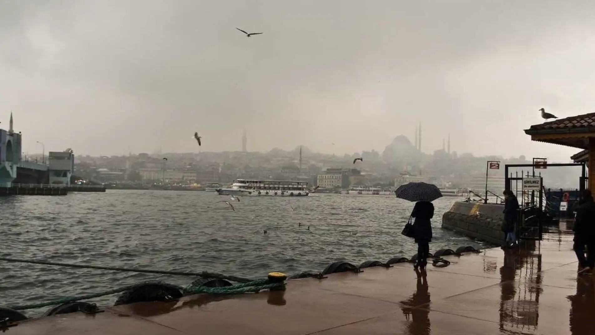 A person walking on a dock with an umbrella.